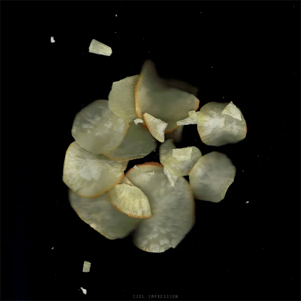 CCI00025-SMALL.jpg
