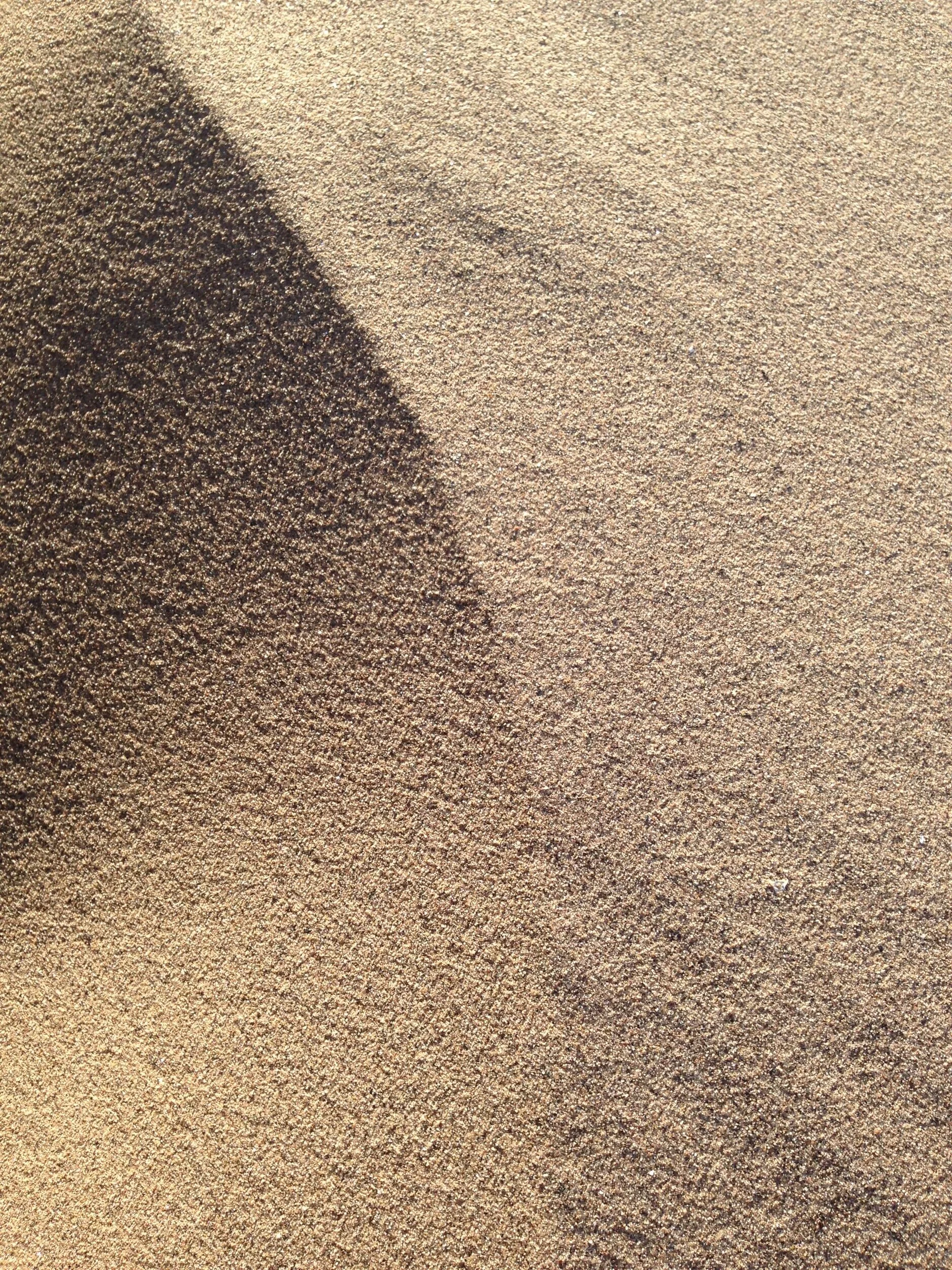 unsplash-image-M_QjjzgvSZM.jpg