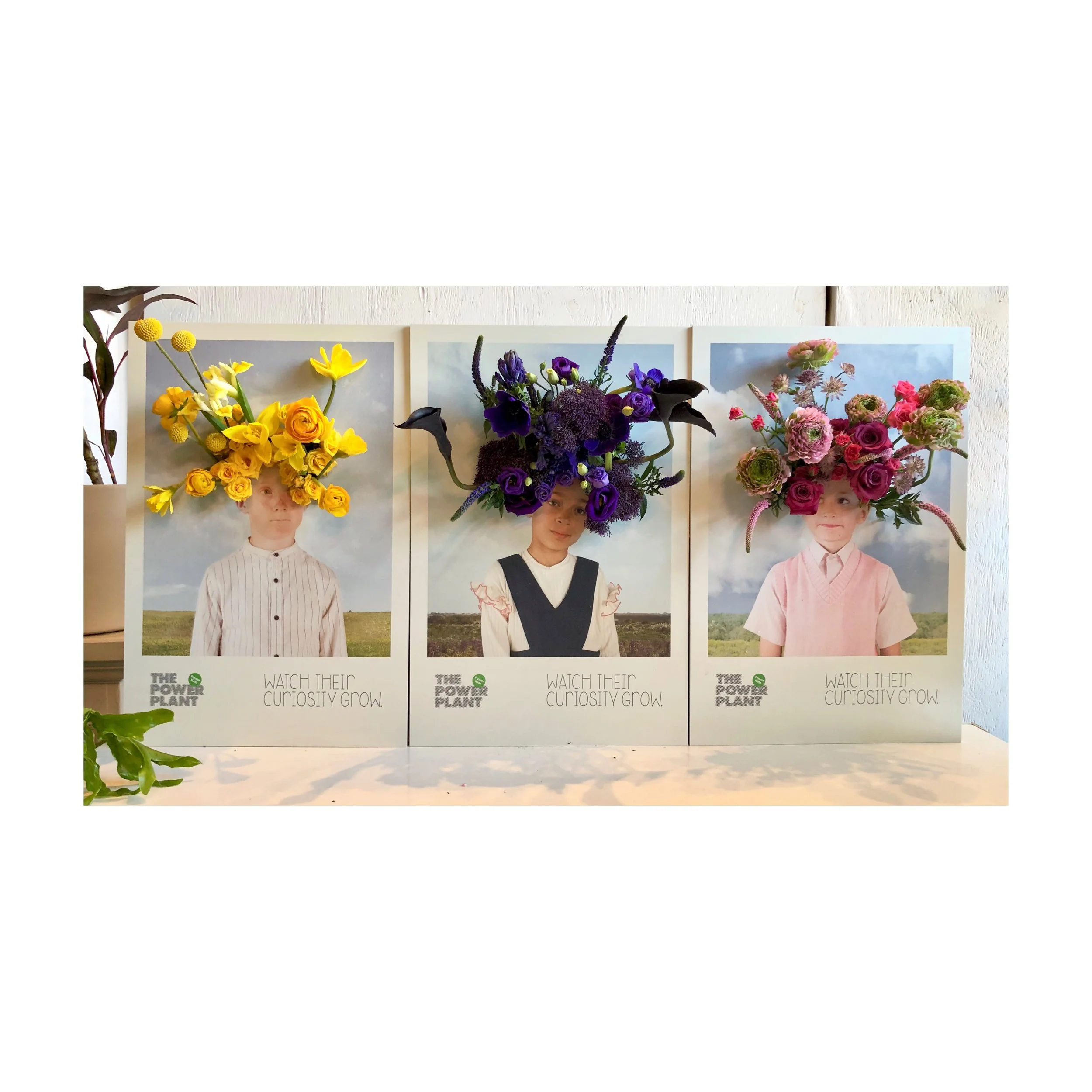 tempImageForSave 3.JPG