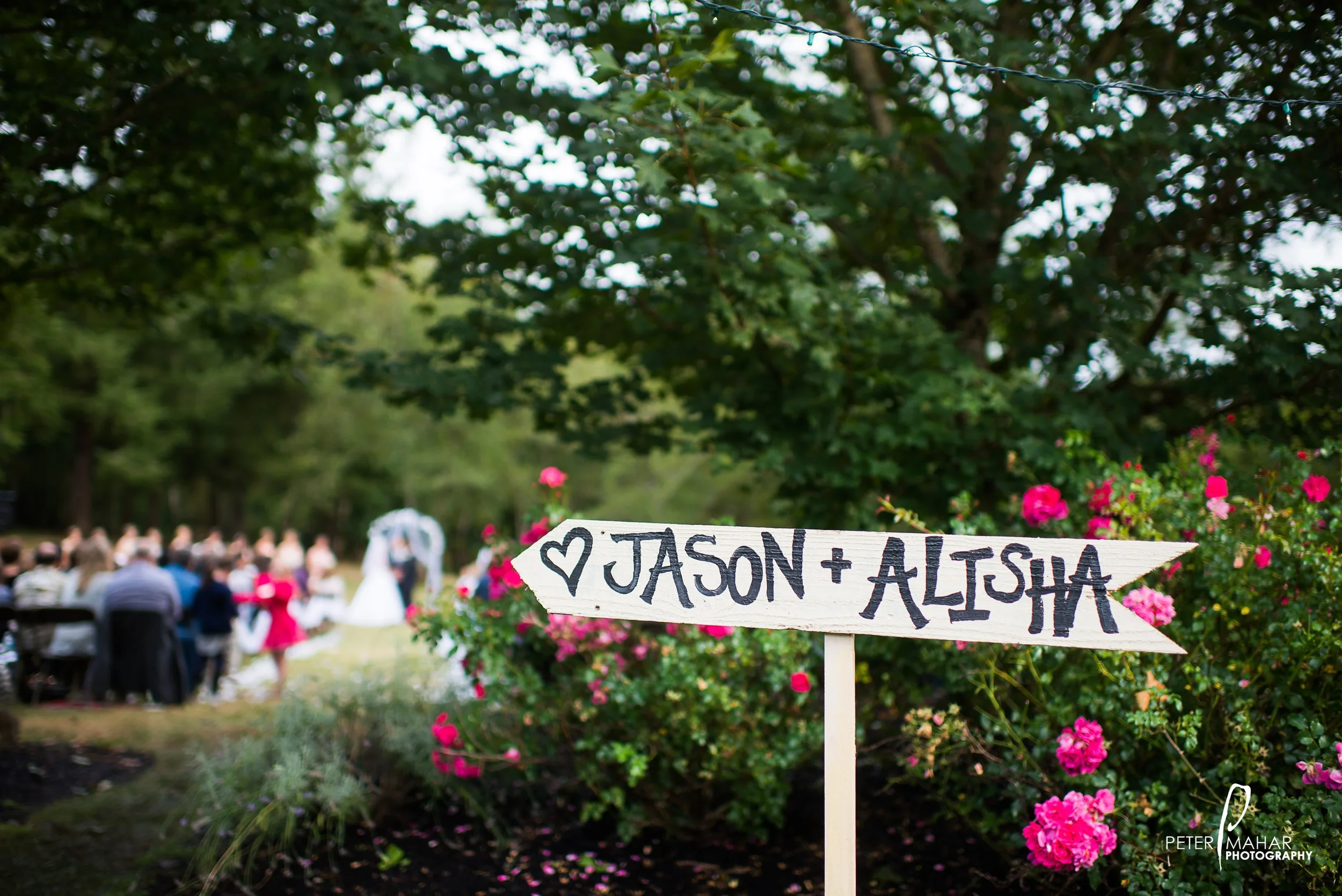 2014-09-05_0099.jpg