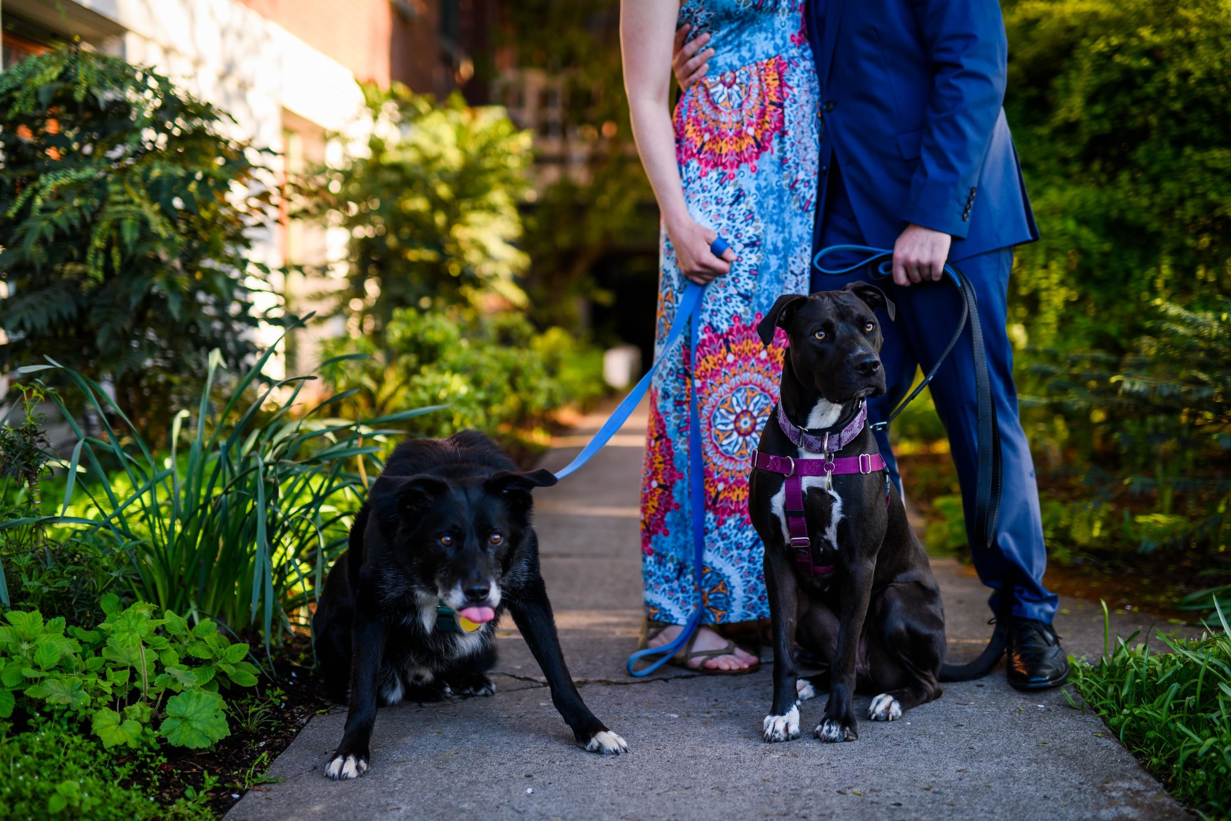 mcmenamins edgefield engagement photos17.jpg