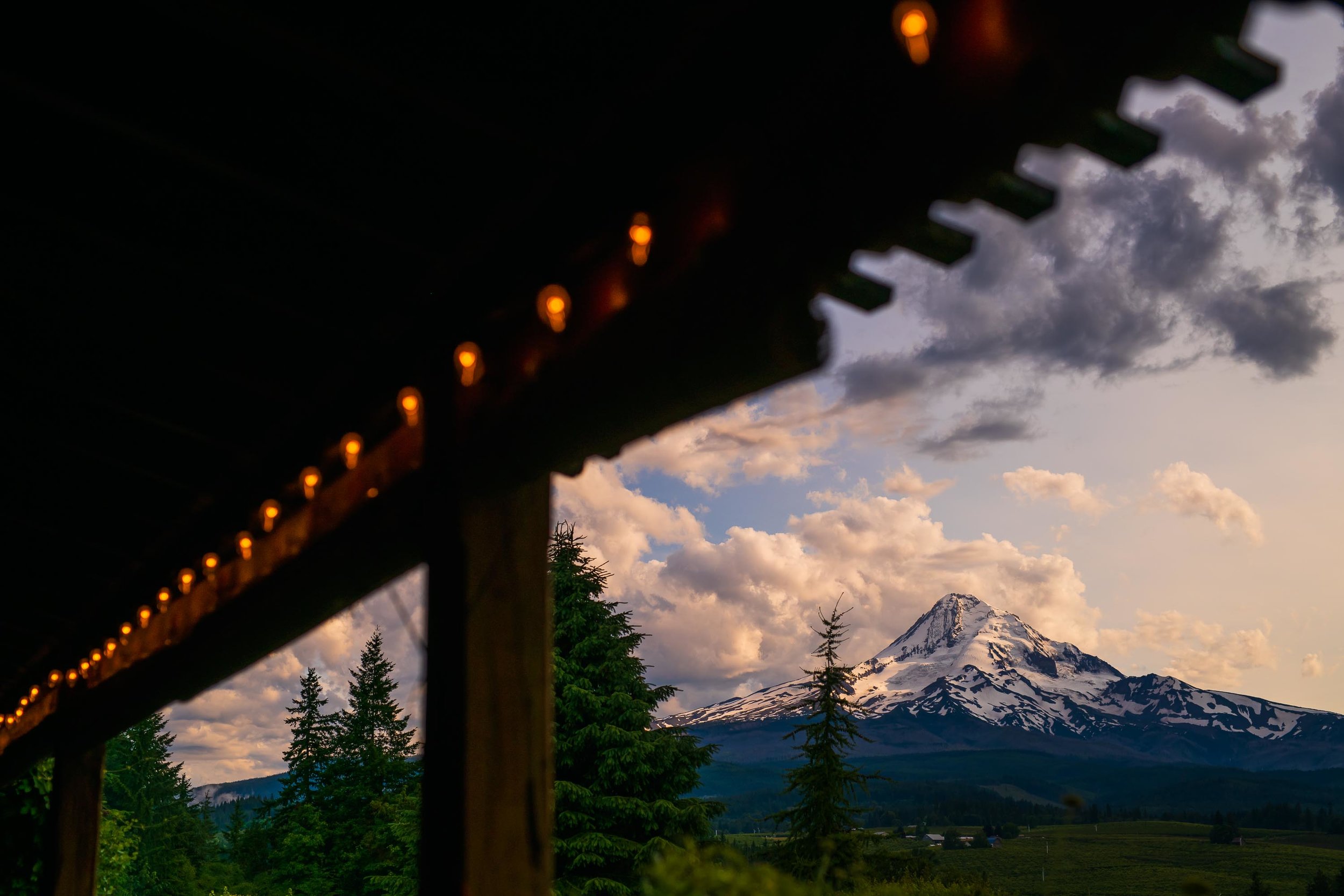 Mt Hood Organic Farms Wedding Photos 133.jpg