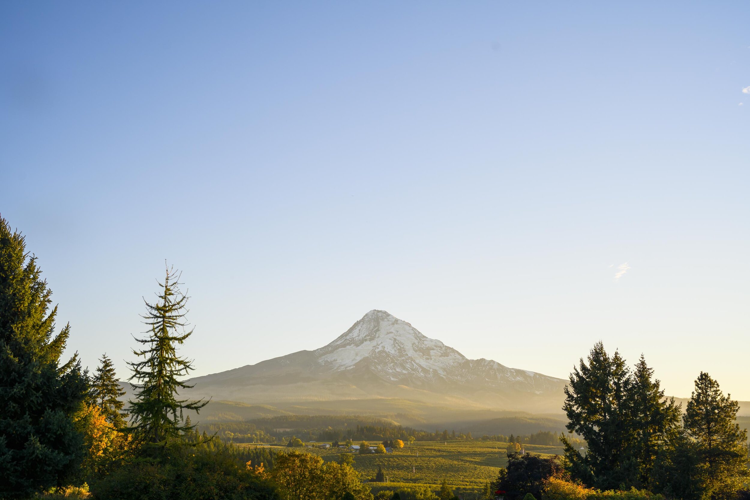 Mt Hood Organic Farm Wedding Photos Nick and Monica 69.jpg