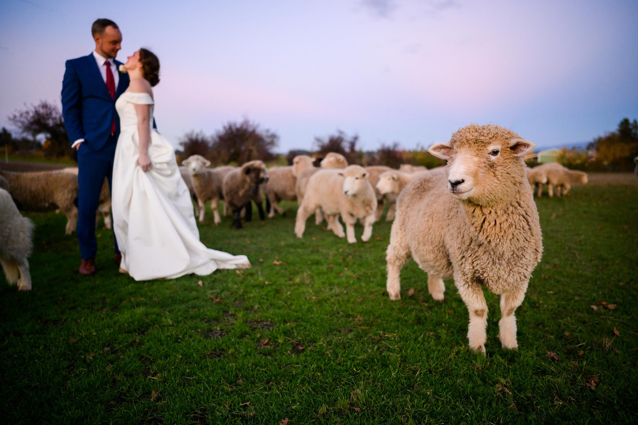 OREGON WEDDINg photography108.jpg