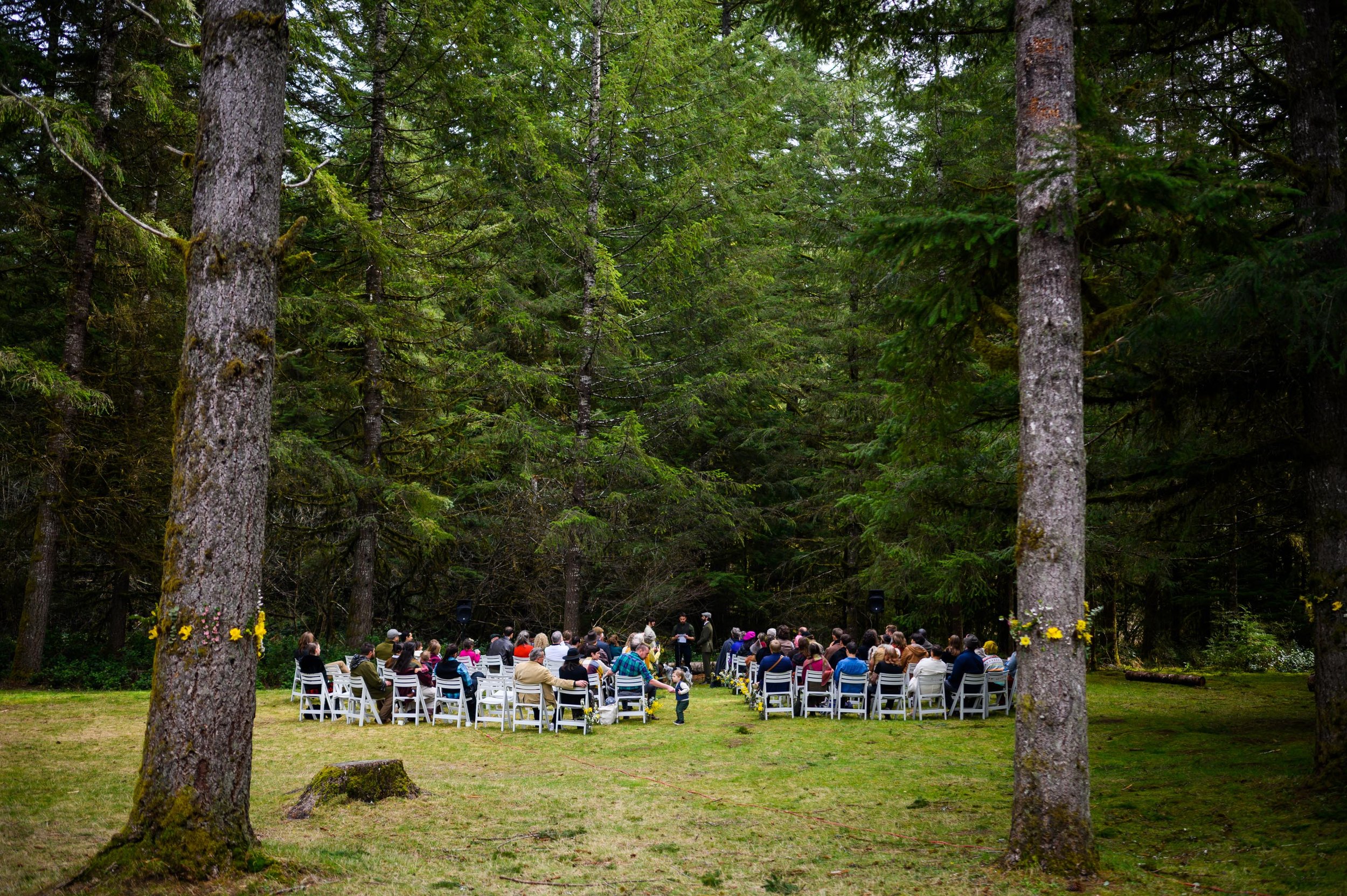 Silver Falls Sate Park Wedding Photos 209.jpg