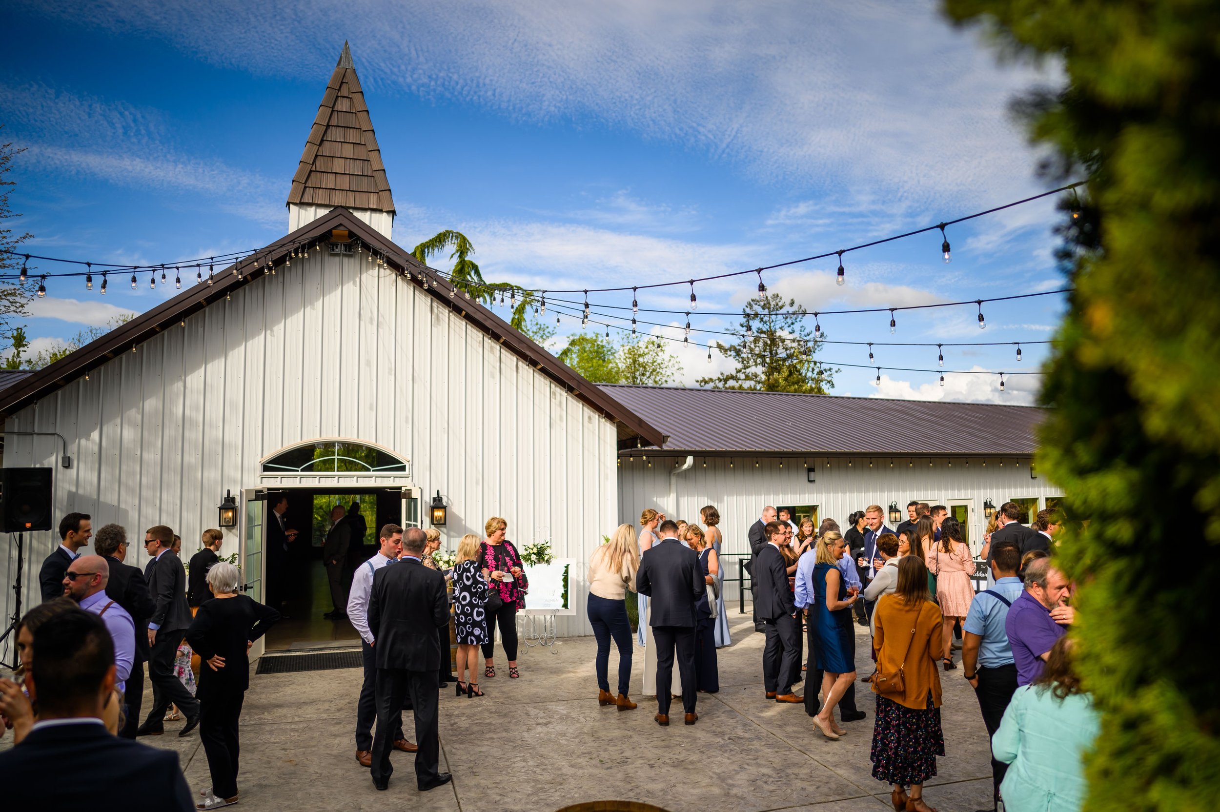 Hilton Garden Inn St. Michael the Archangel  Aurora Colony Vineyards, wedding photos80.jpg