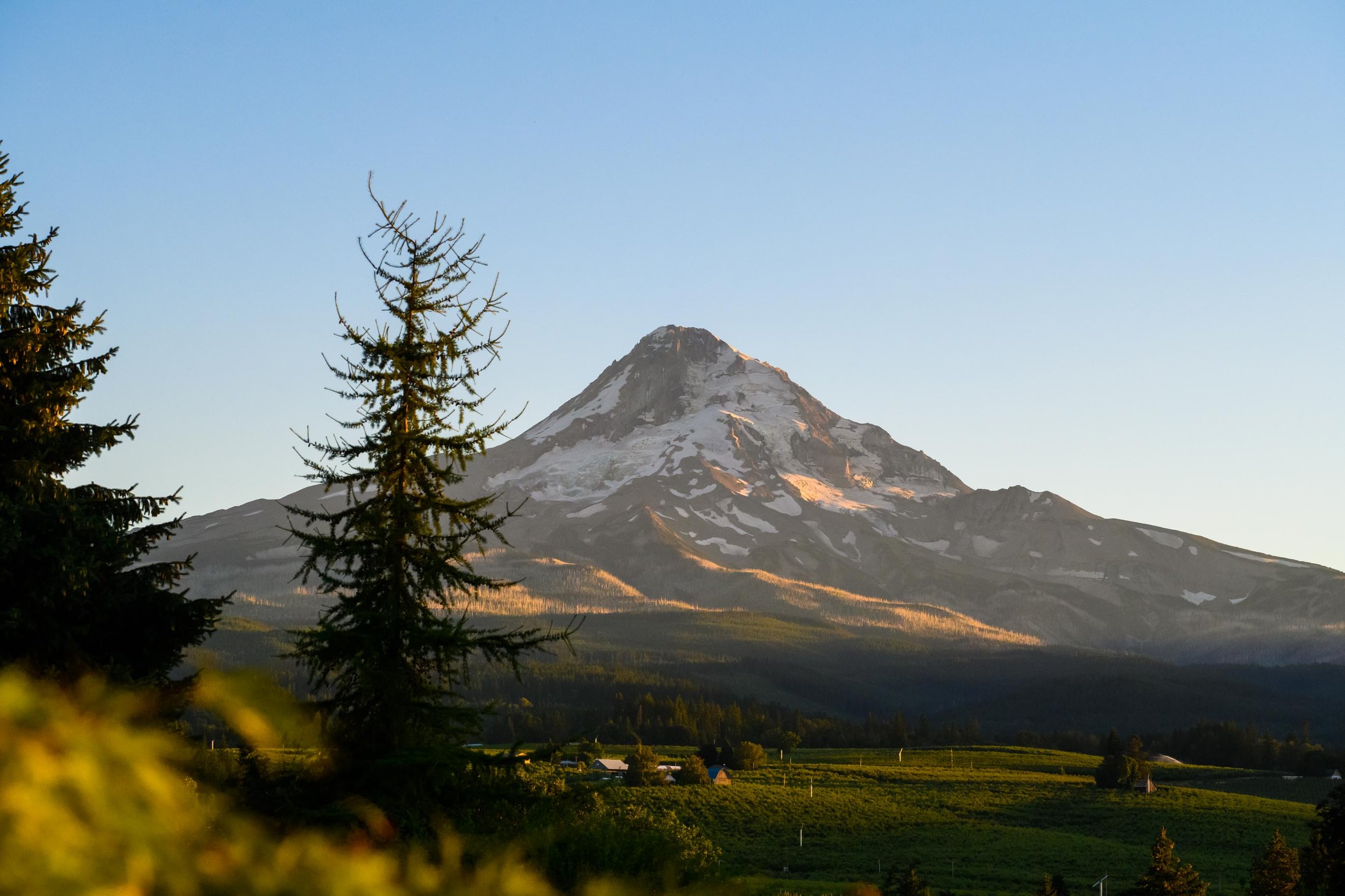 Mt Hood Organic Farms Wedding Photos 137.JPG