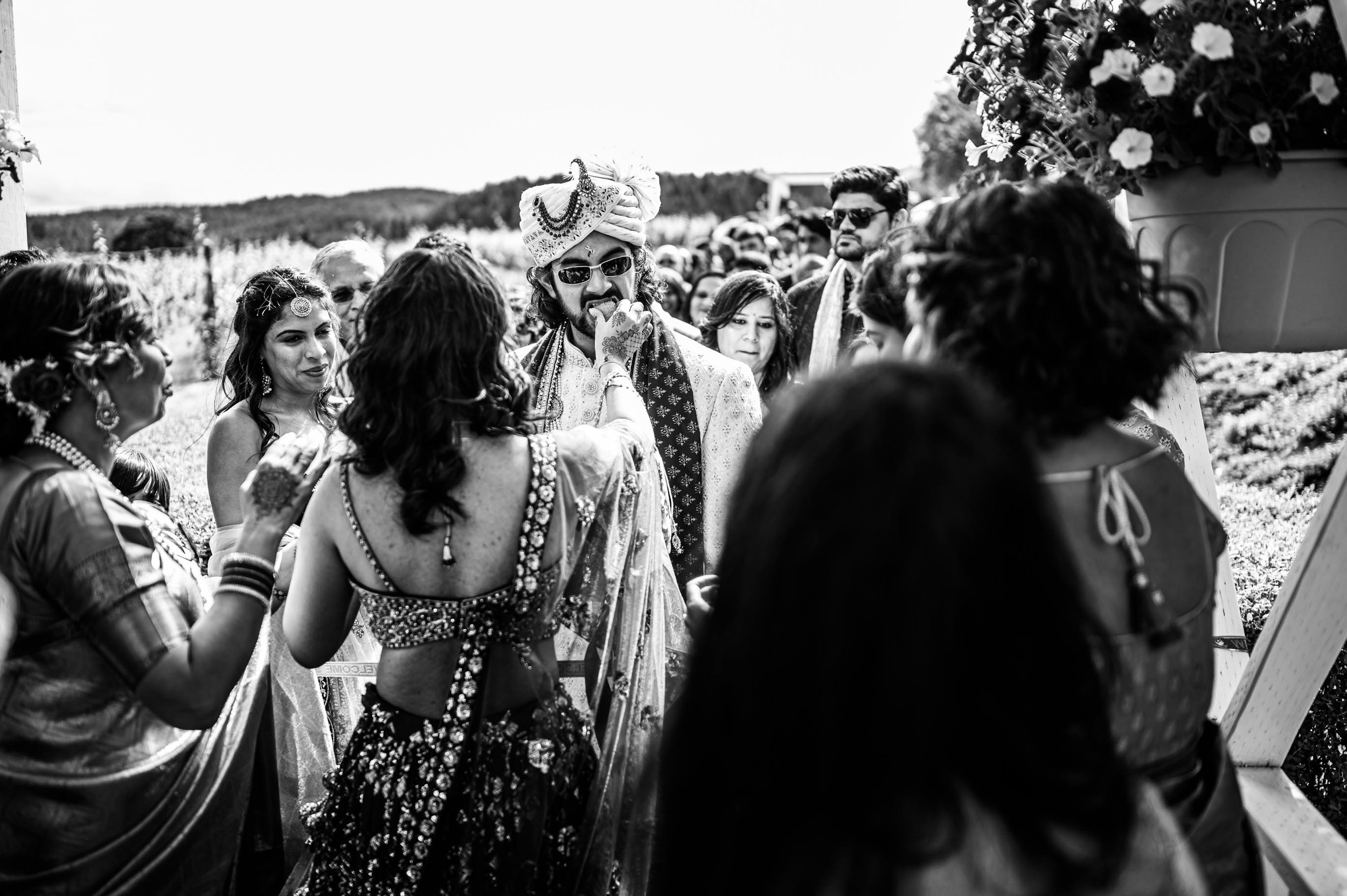 Zenith Vineyard Indian Wedding Ceremony Wedding Photos98.JPG