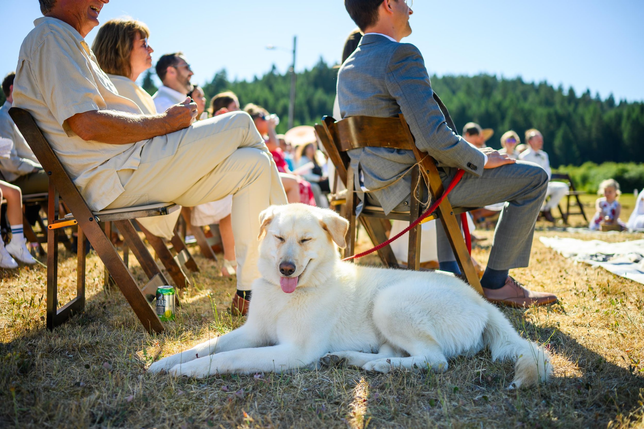 Silver Falls Wedding Photos 60.JPG