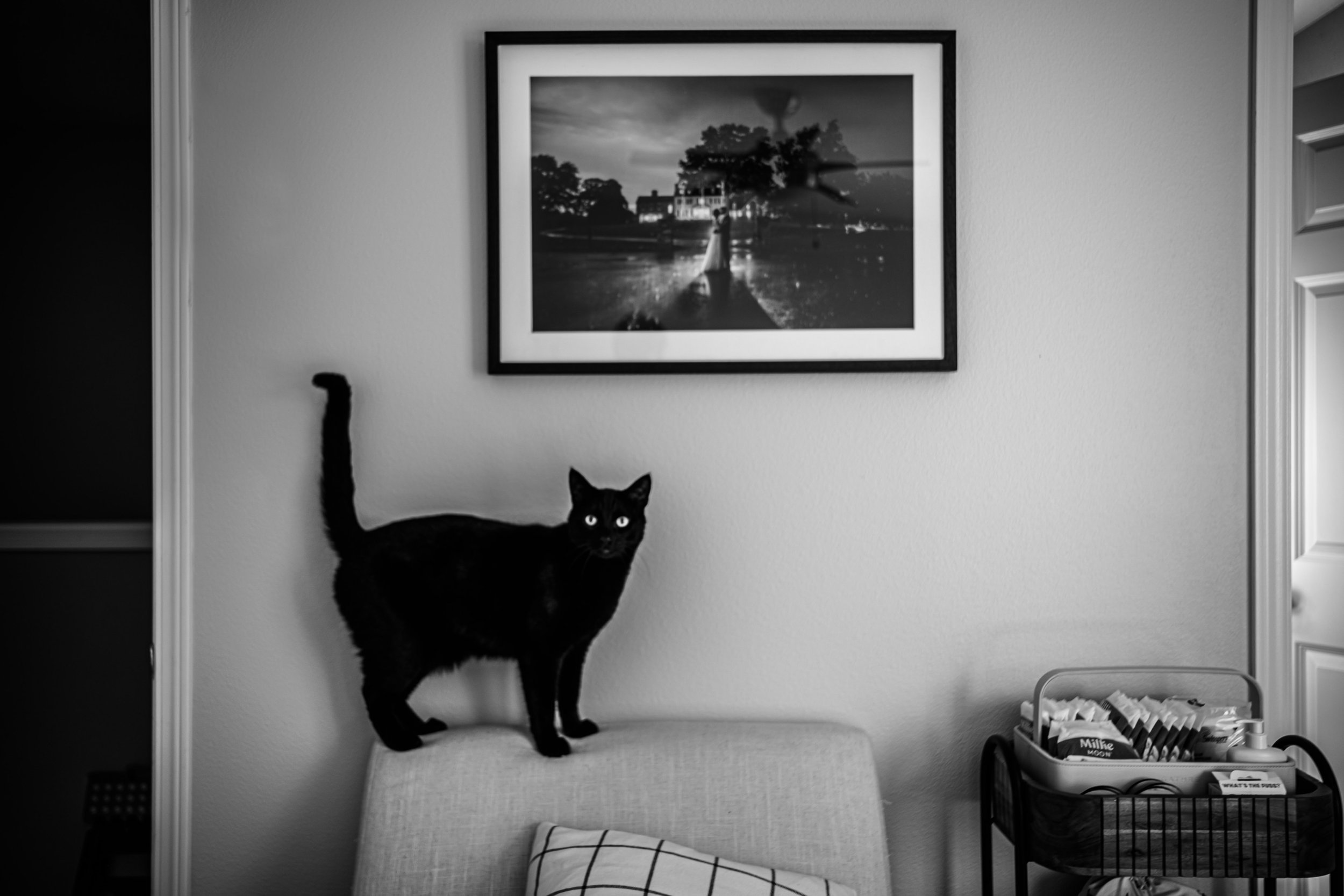 At Home Family Photoshoot 2.JPG