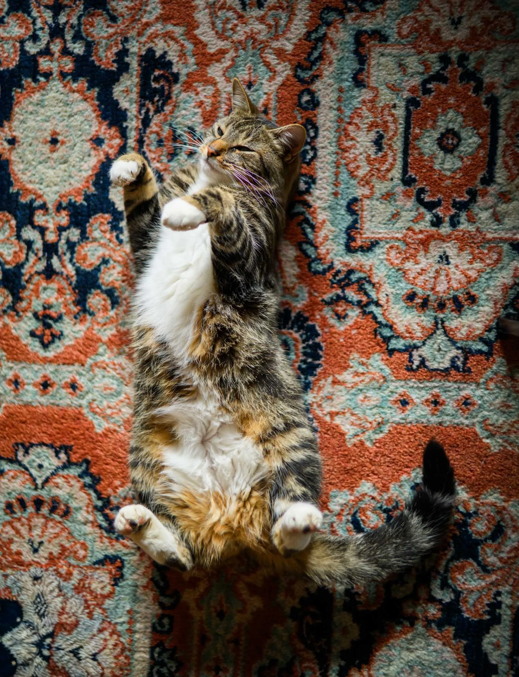 Documentary Family Photos  Portland Family Photographer 17.JPG