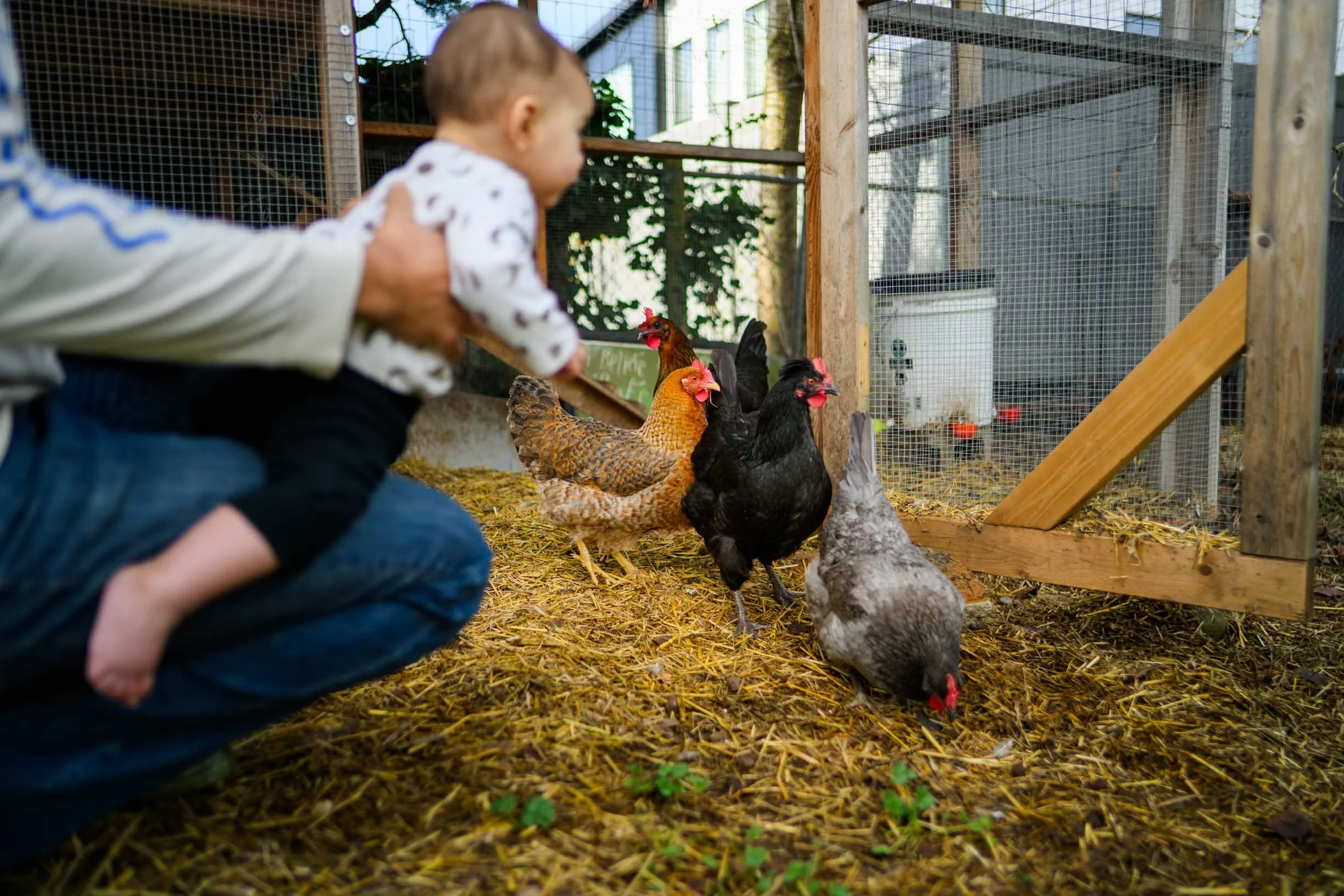 Documentary Family Photos  Portland Family Photographer 39.JPG