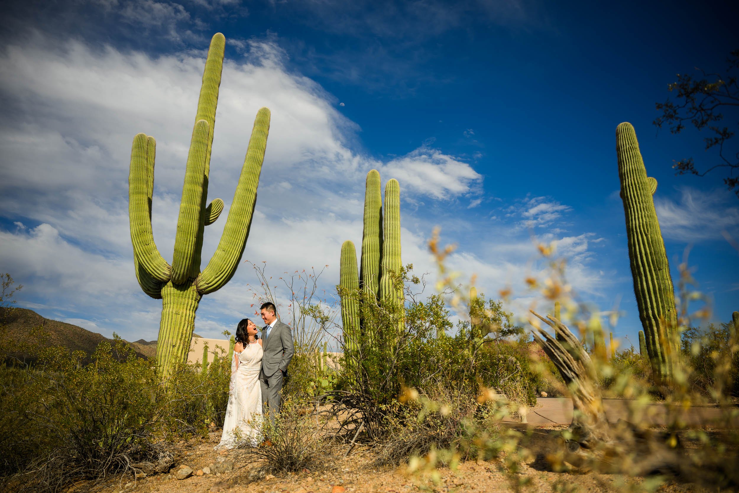 Tucson Arazona Engagment Session in Saguaro National Park6.jpg