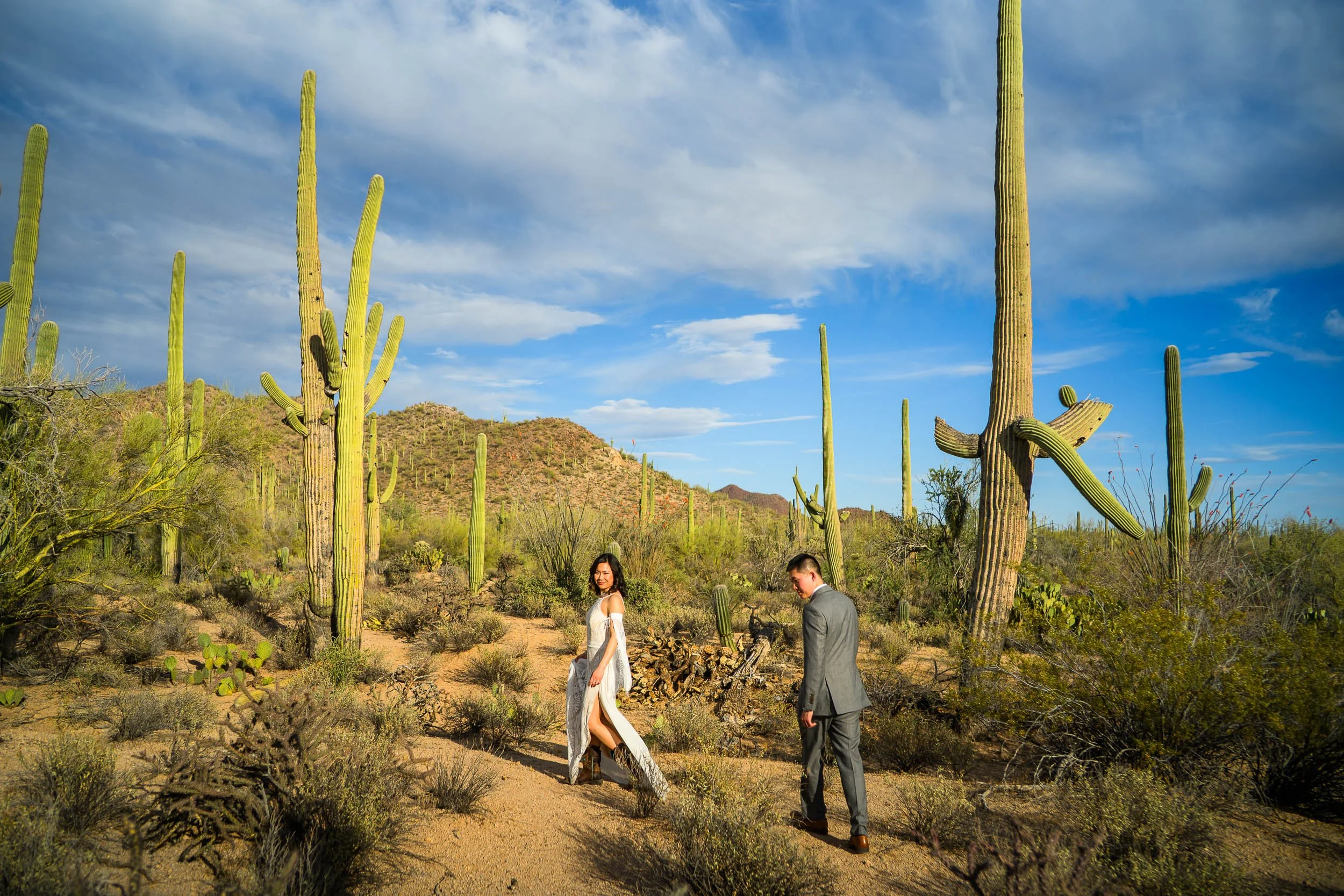 Tucson Arazona Engagment Session in Saguaro National Park11.jpg