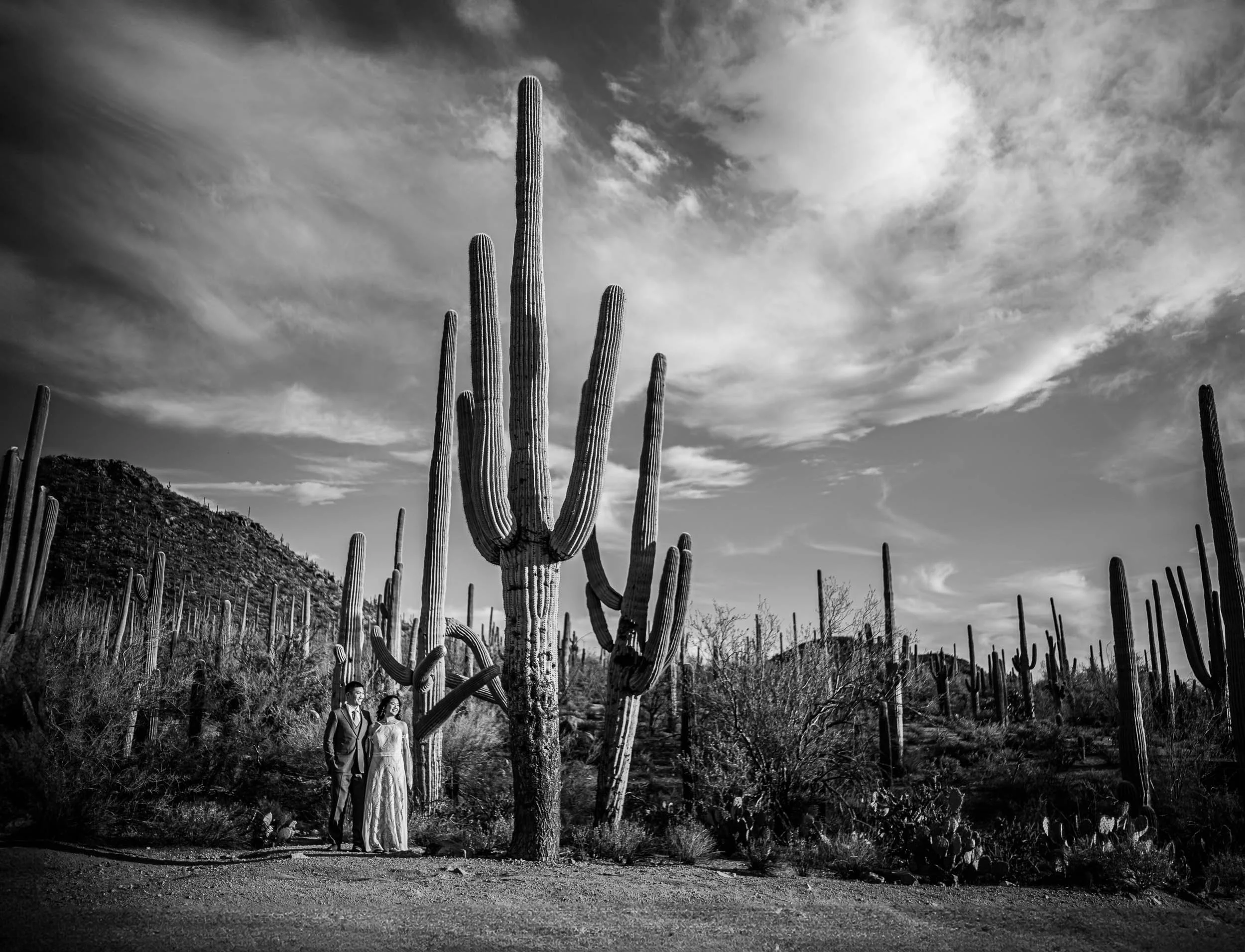 Tucson Arazona Engagment Session in Saguaro National Park21.jpg