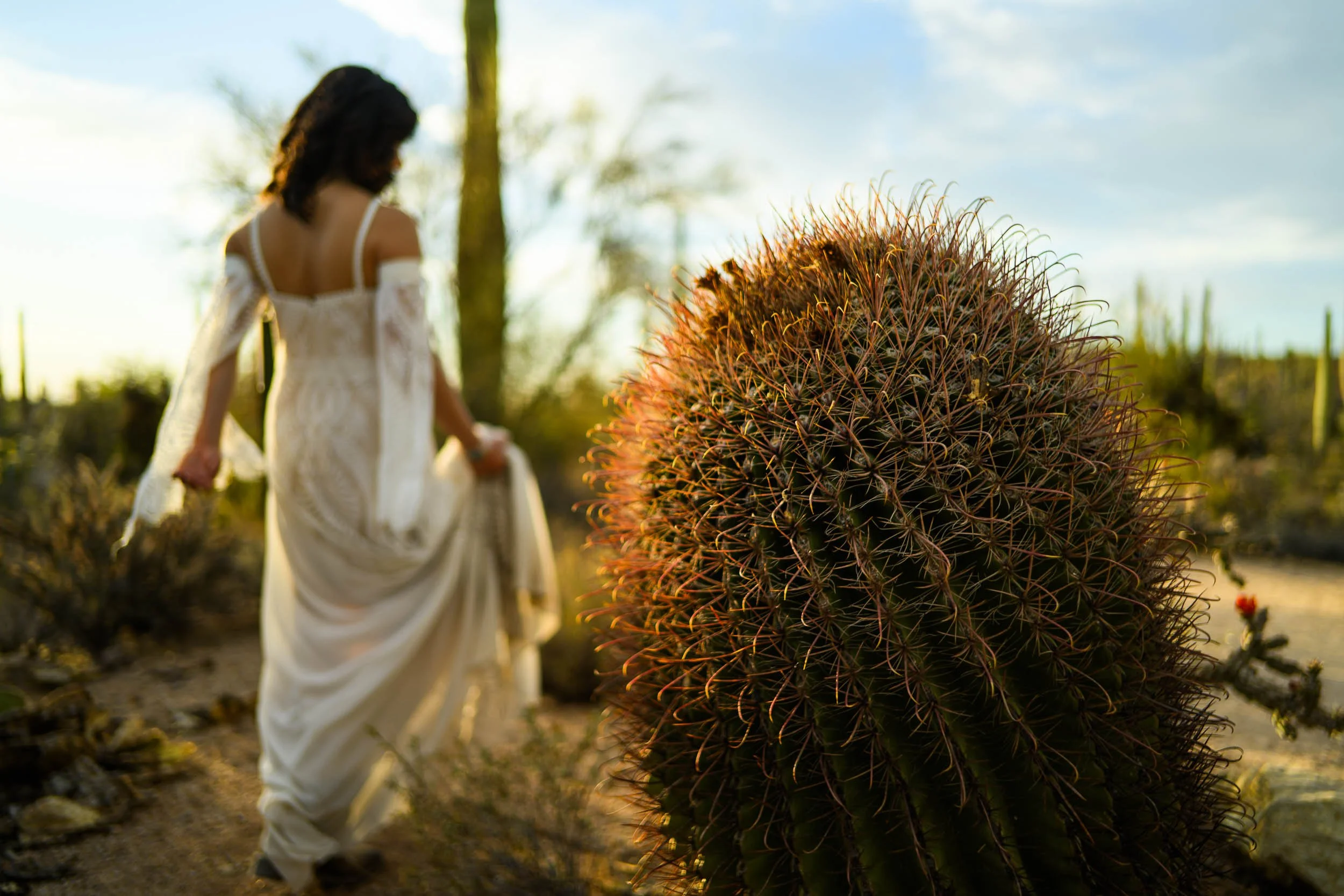 Tucson Arazona Engagment Session in Saguaro National Park30.jpg