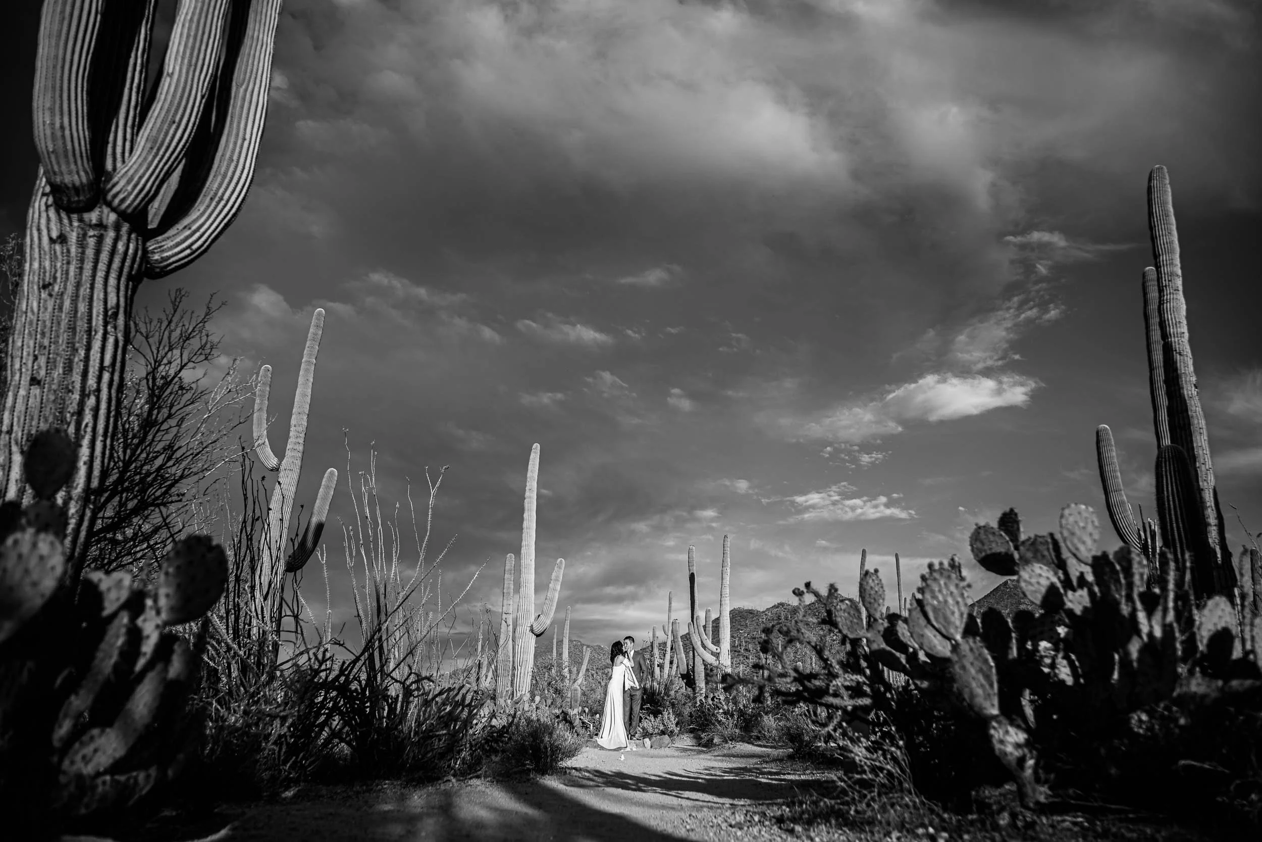 Tucson Arazona Engagment Session in Saguaro National Park31.jpg