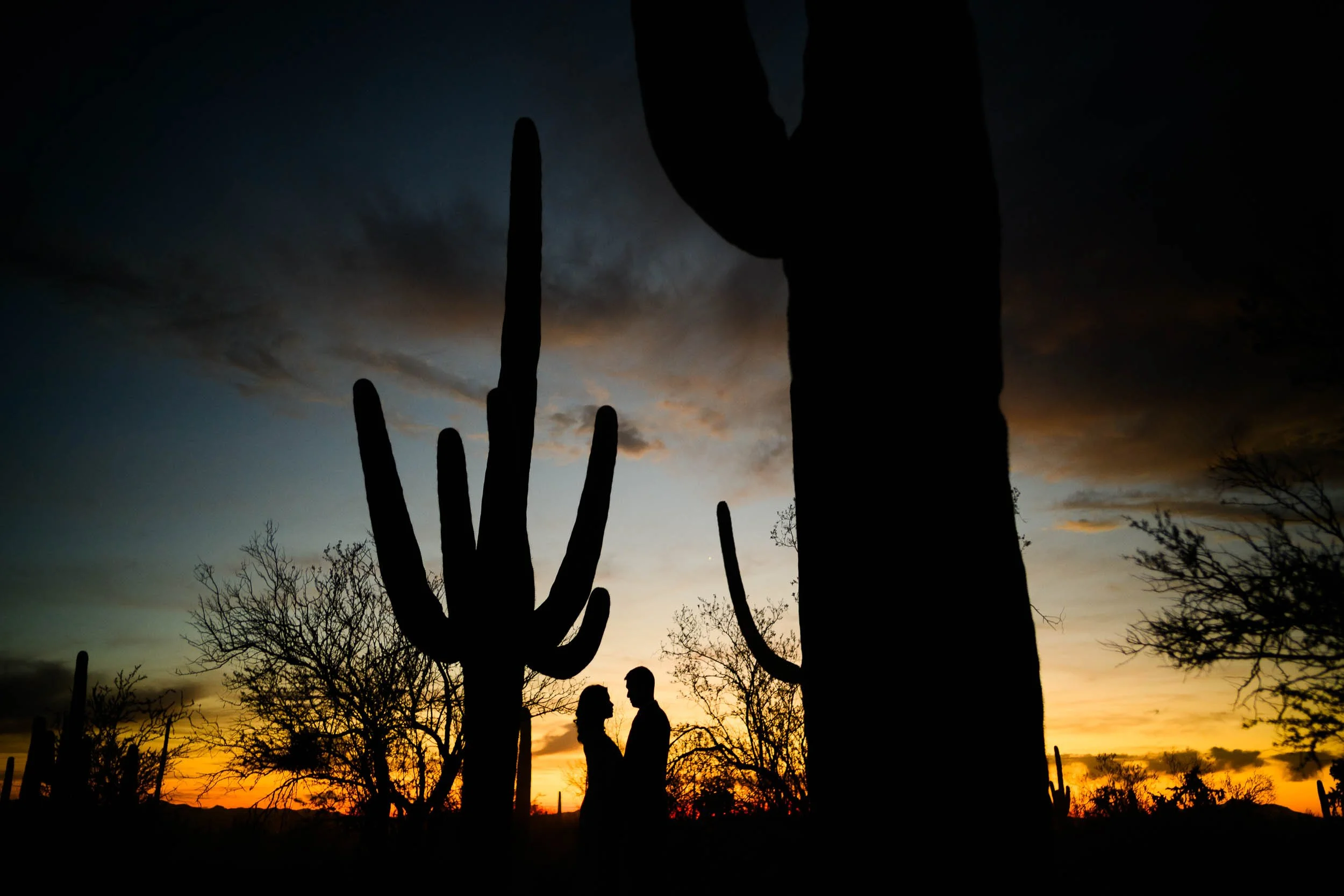 Tucson Arazona Engagment Session in Saguaro National Park48.jpg