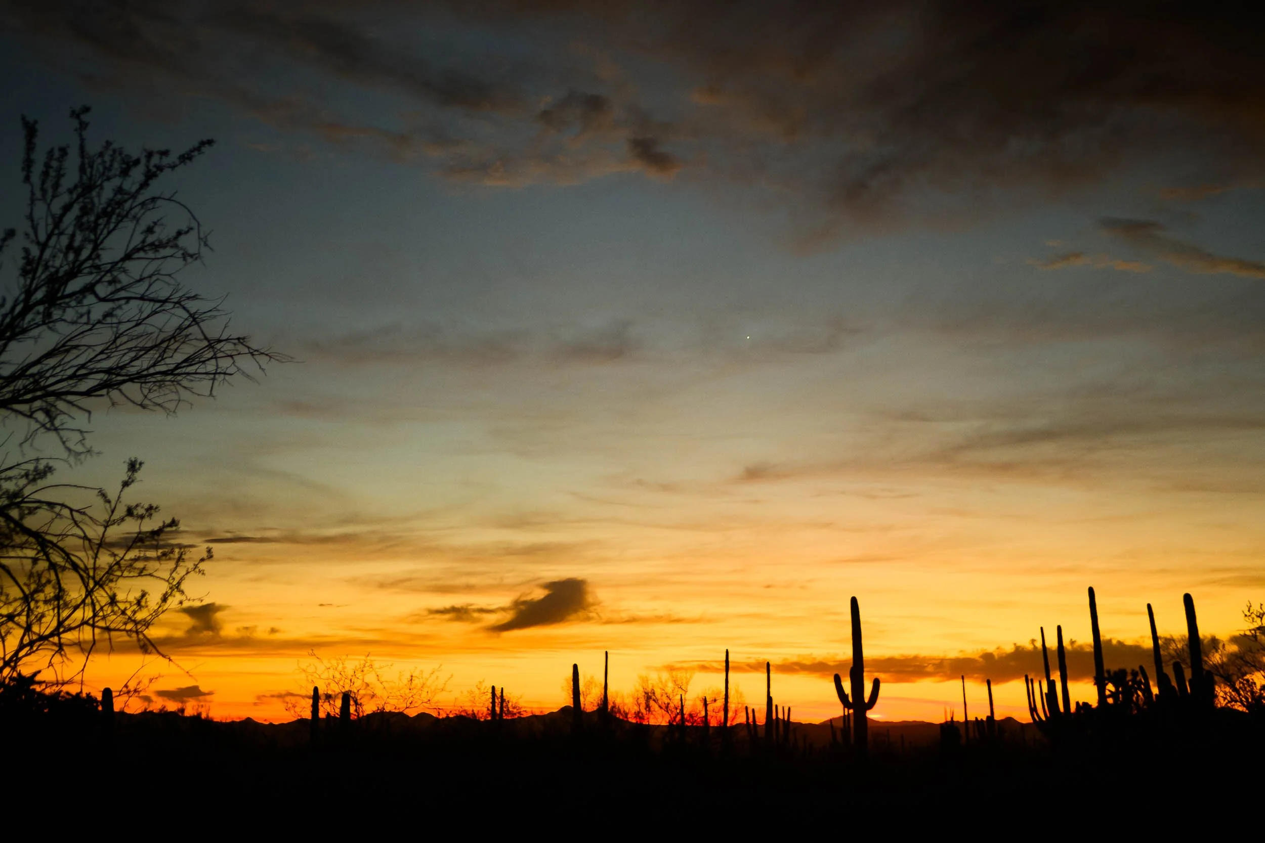 Tucson Arazona Engagment Session in Saguaro National Park49.jpg