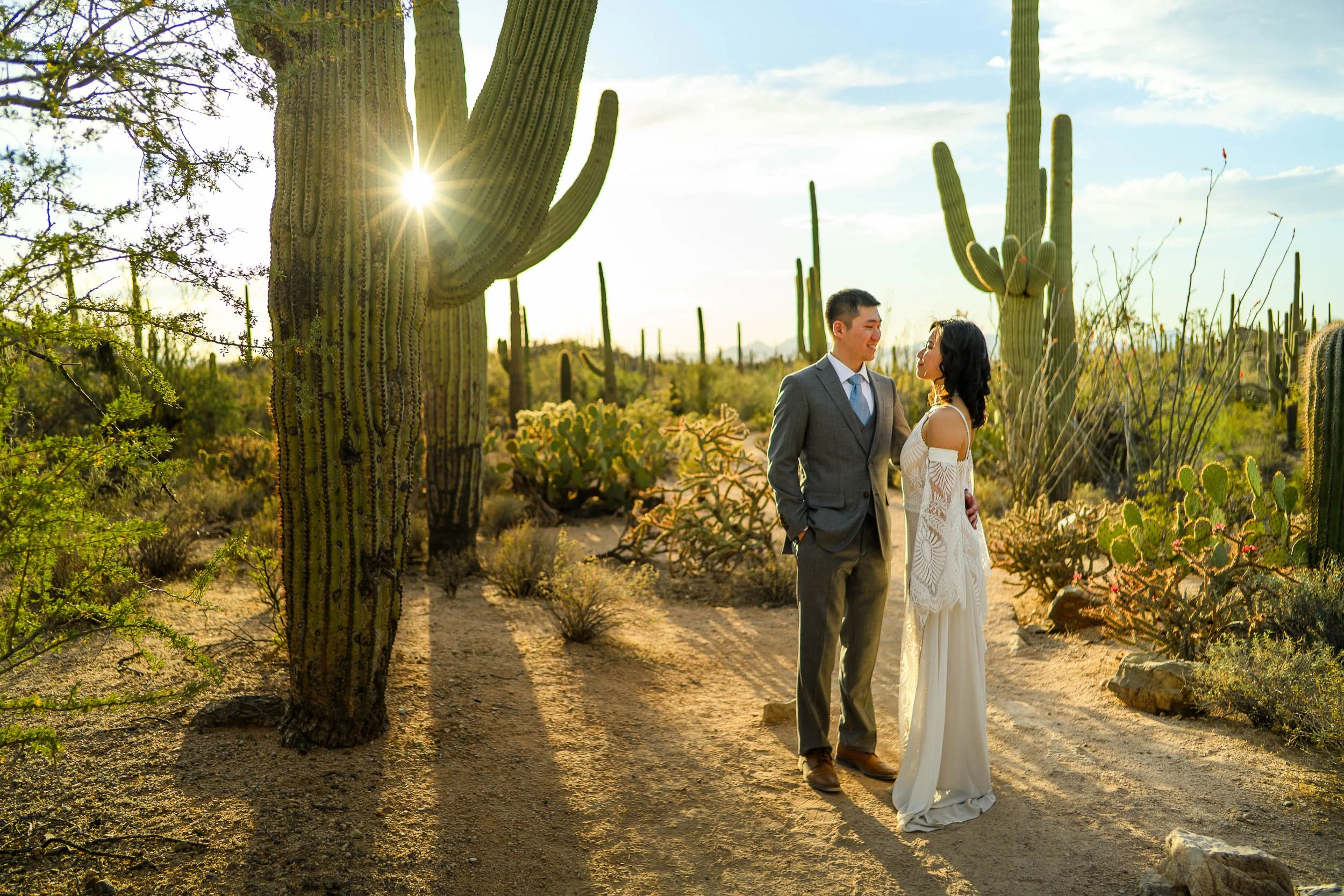 Engagment photos in saguaro national park