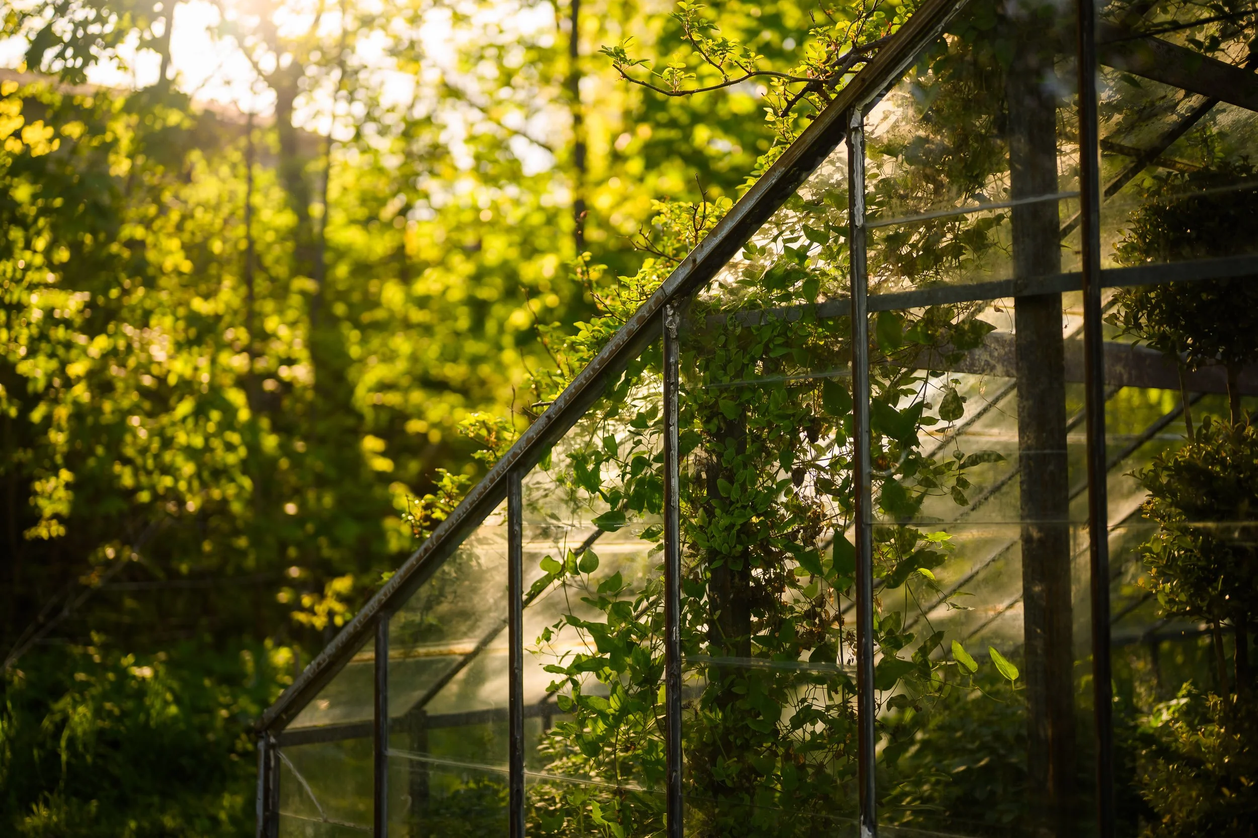 Glass House Creative Grand Rapids Wedding Photos 85.jpg