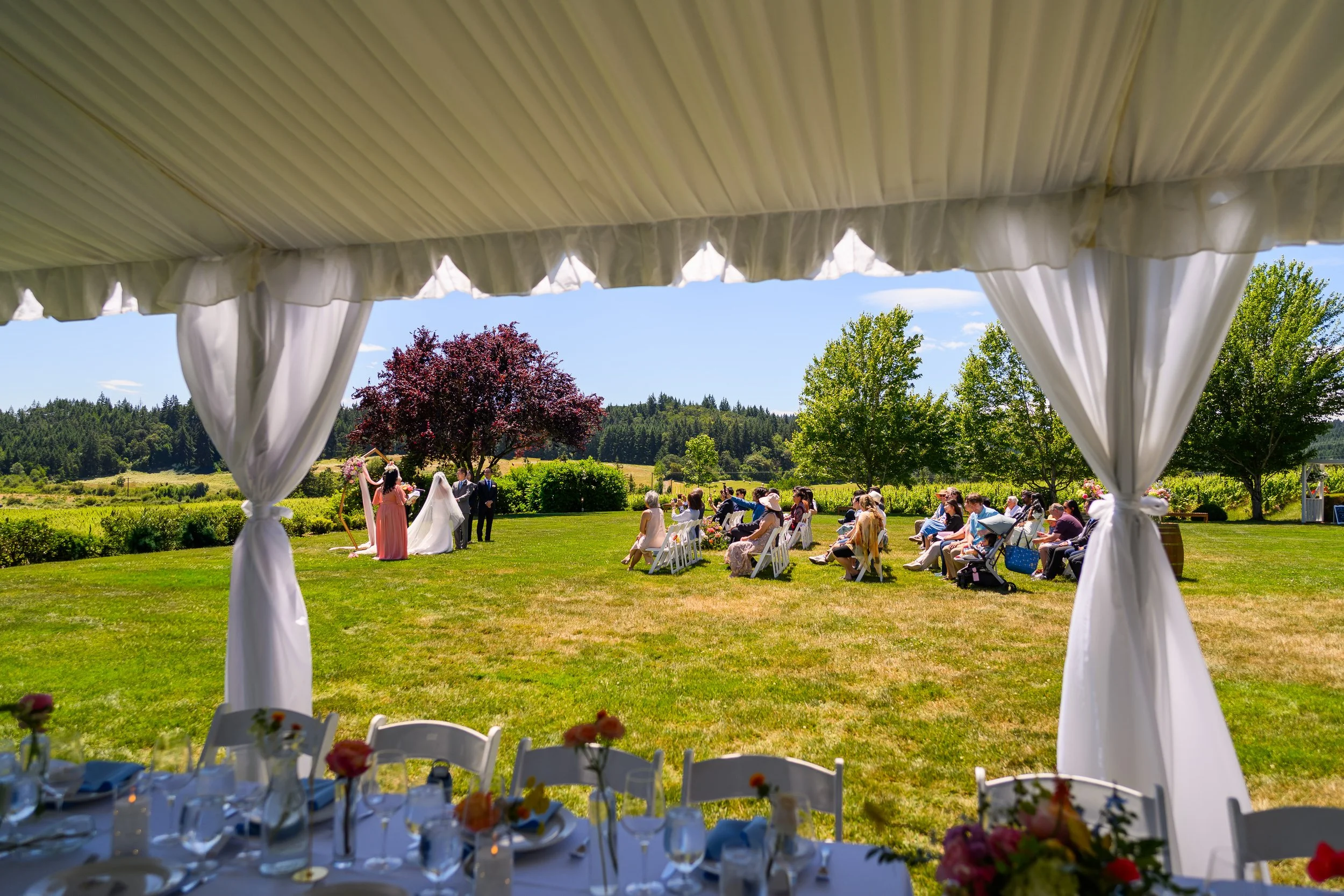 Zenith Vineyard Wedding Photos 53.jpg