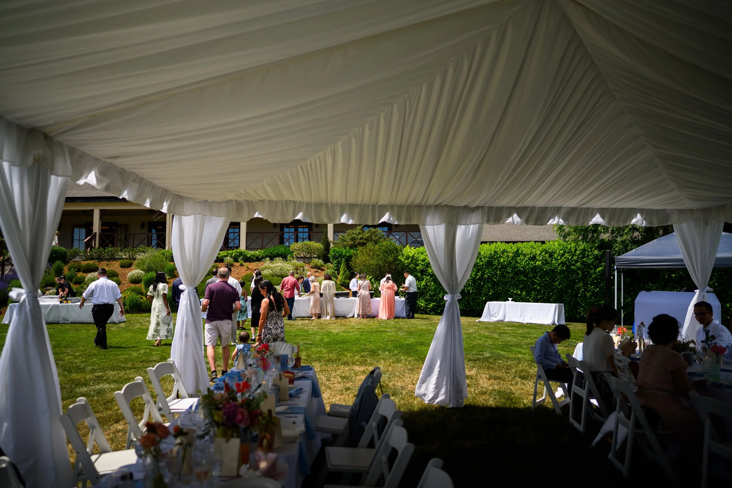 Zenith Vineyard Wedding Photos 71.jpg
