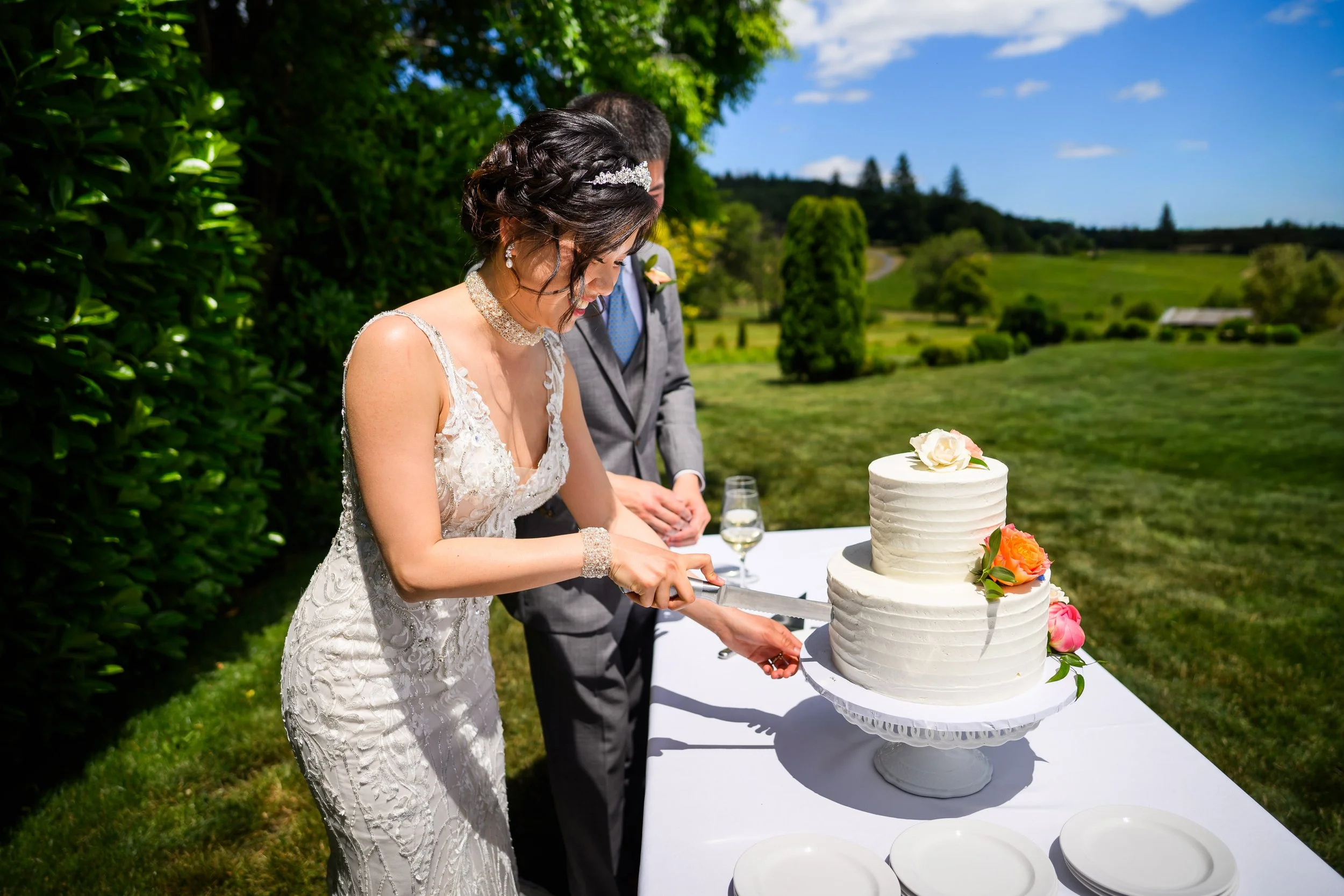 Zenith Vineyard Wedding Photos 74.jpg