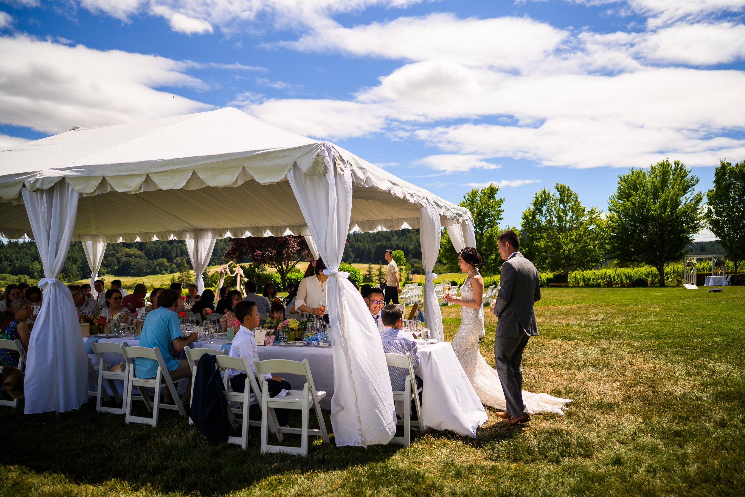 Zenith Vineyard Wedding Photos 77.jpg