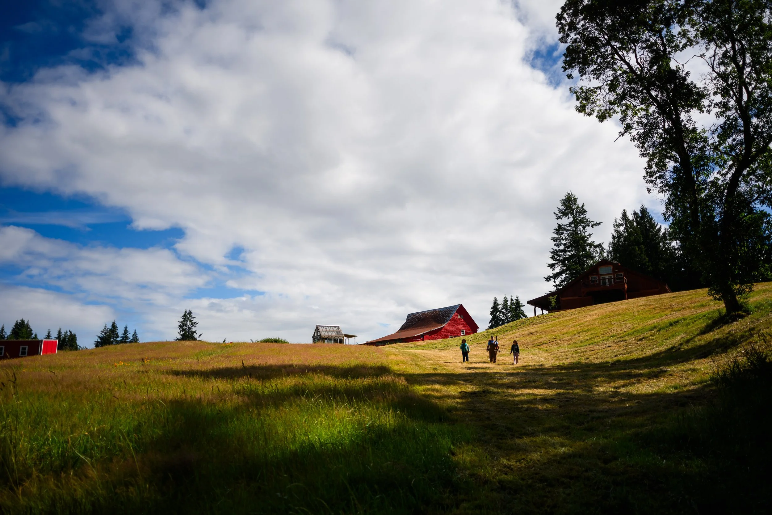 Kingston WA Wedding Photos 9.jpg