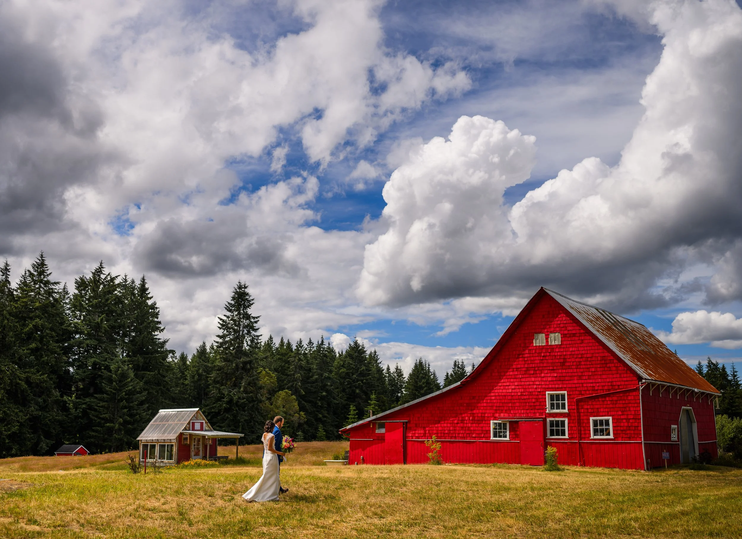 Kingston WA Wedding Photos 45.jpg