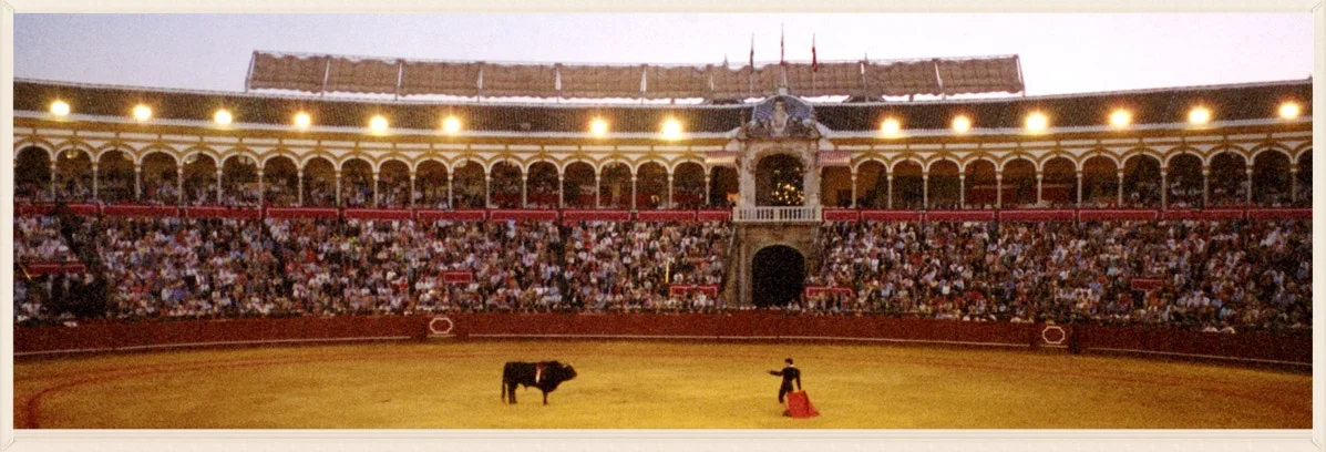 I consider myself a photographer in training. This is my favorite shot so far.