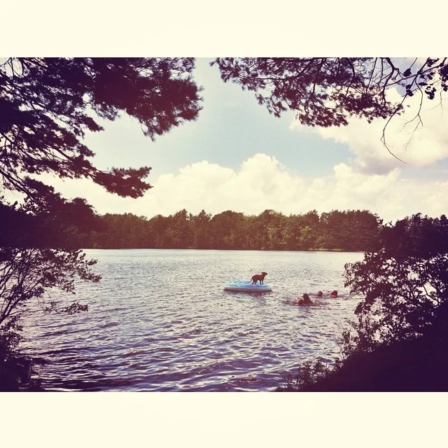 #lakeside #canaanstreetlake