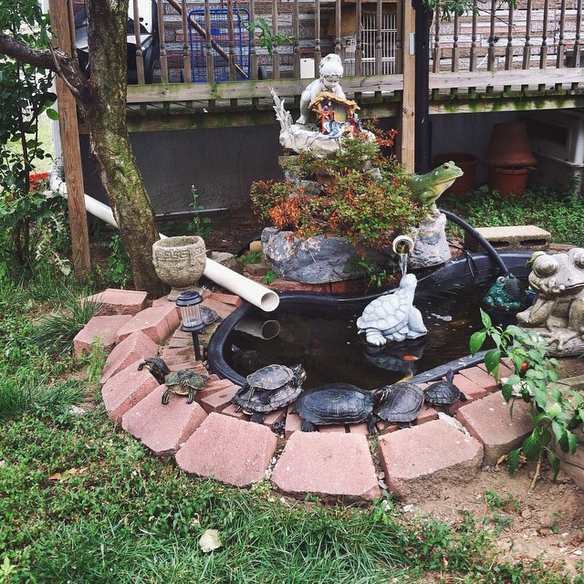 best front yard in Elmhurst #holatortuga