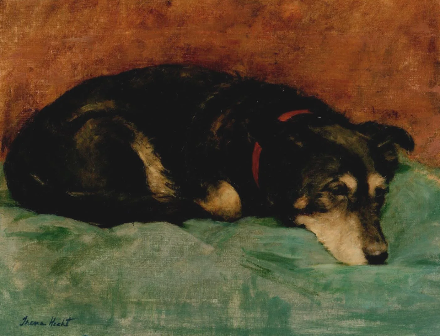 dogc025.jpg