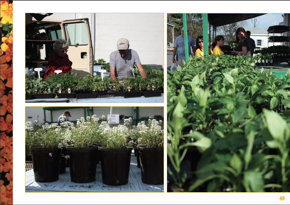 Screen Shot 2015-07-16 at 7.46.05 PM.png