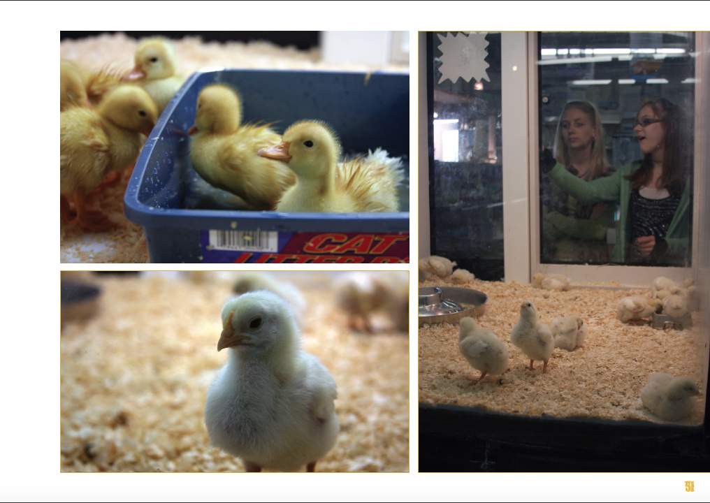 Screen Shot 2015-07-16 at 7.46.34 PM.png