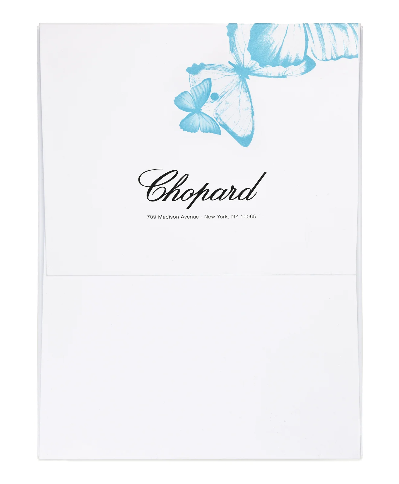 erin_chopard_017.jpg