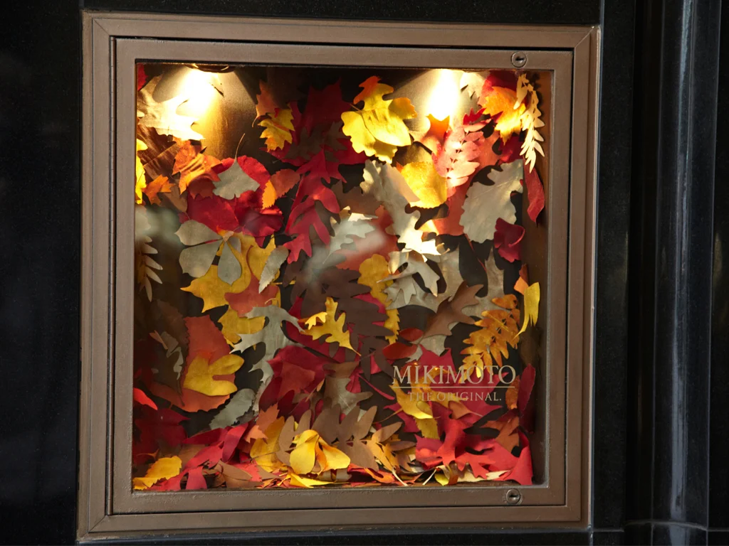 Autumn13.jpg