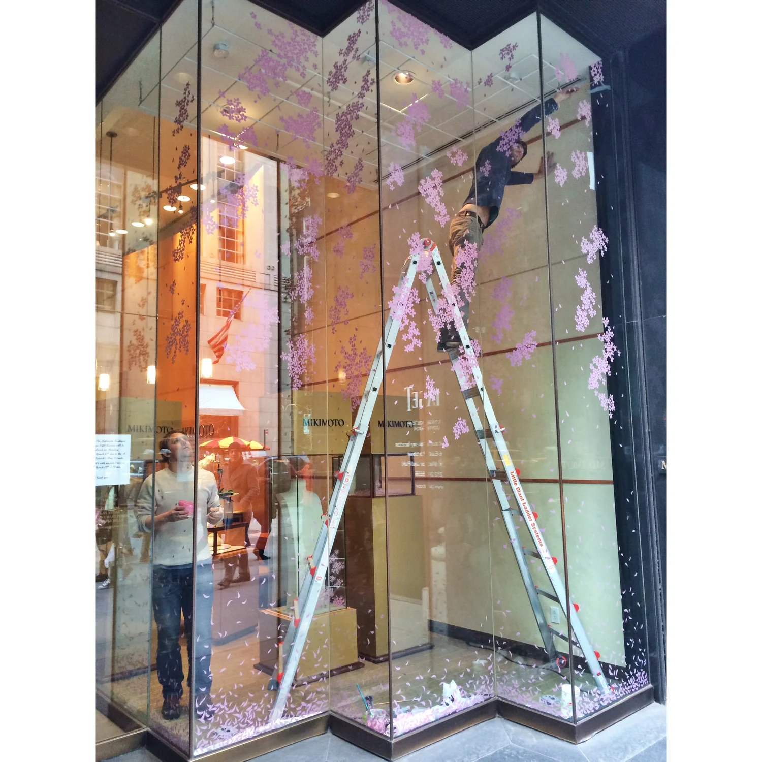 Cherry Blossom Window Display