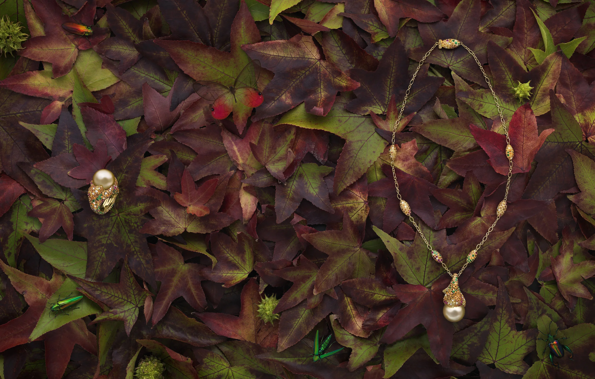 Mikimoto_autumn LR.jpg