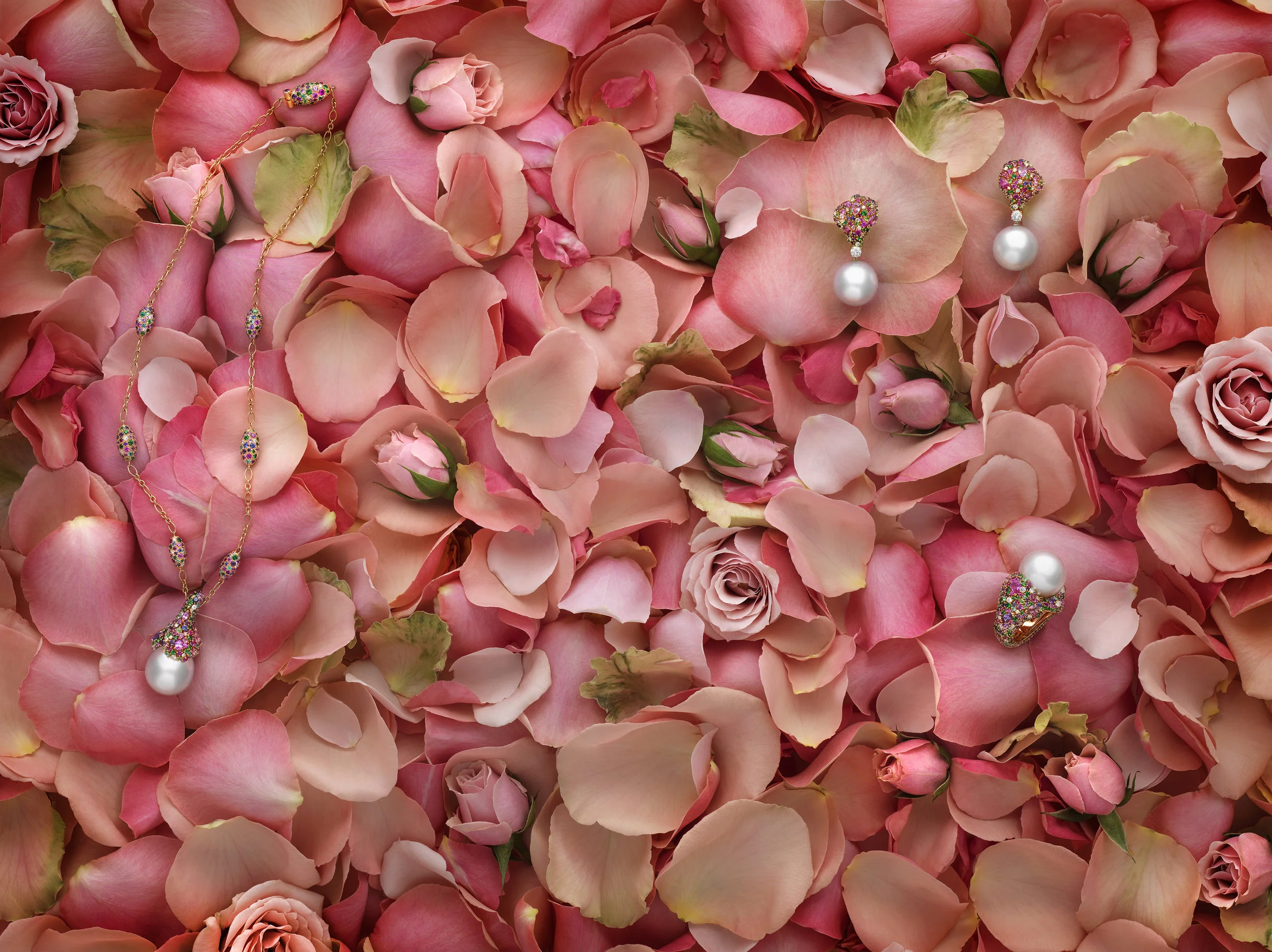 mikimoto_spring LR.jpg