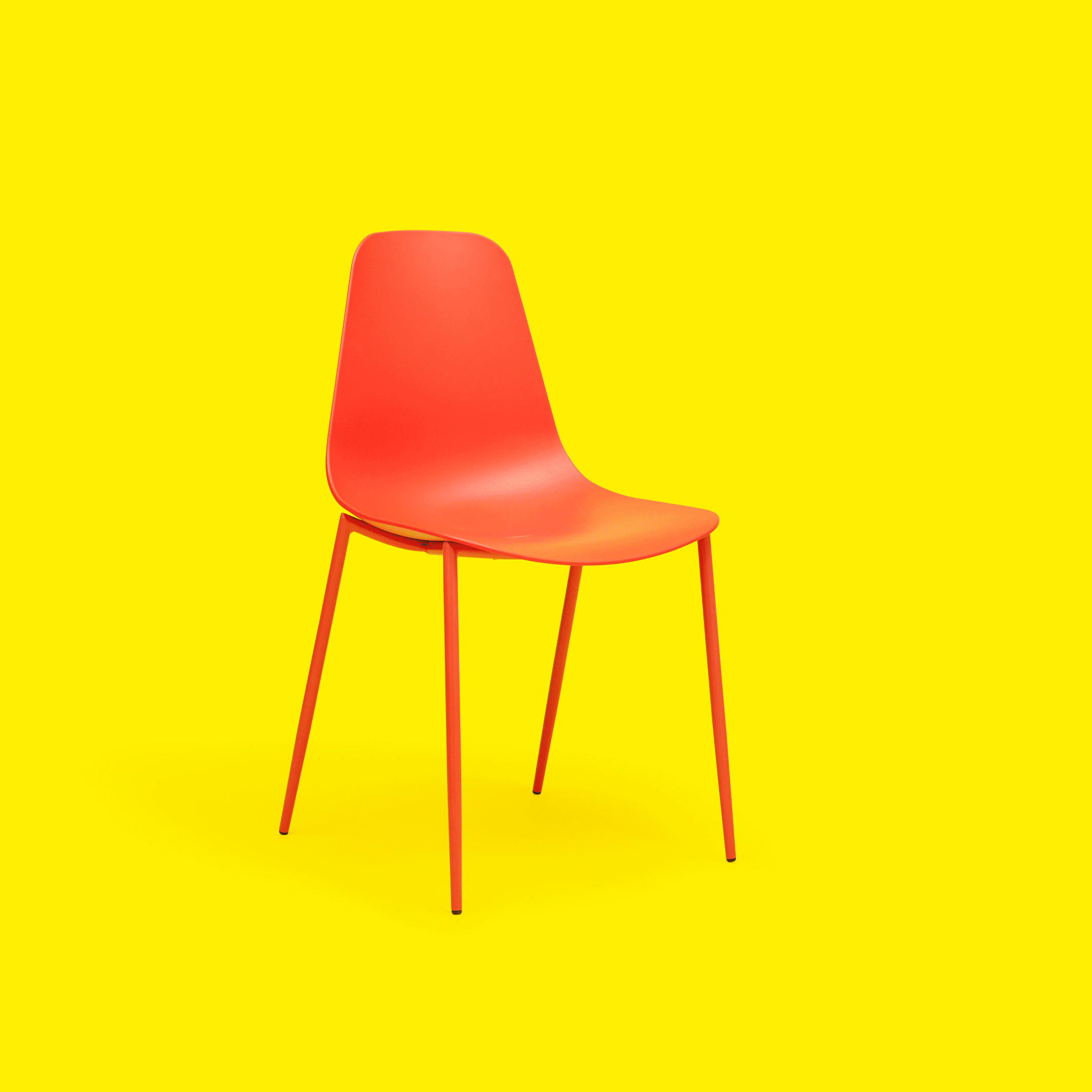 FILD5569_Dog copy.gif