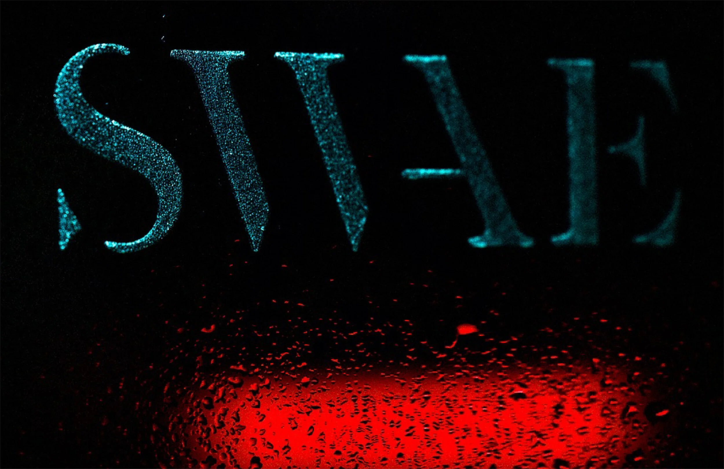 SWAE_Guidelines-34.jpg