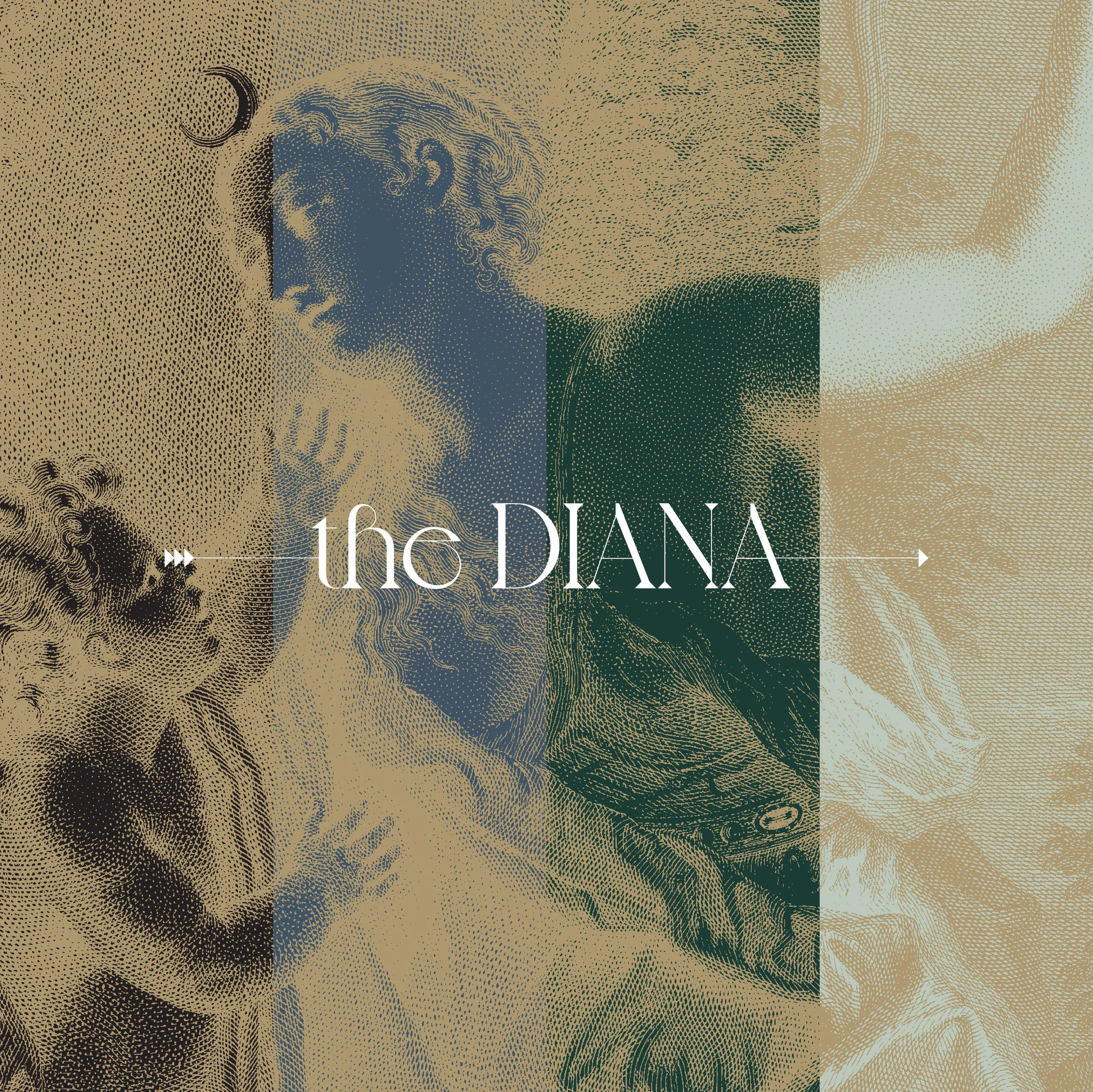 TheDiana_Portfolio-09.jpg