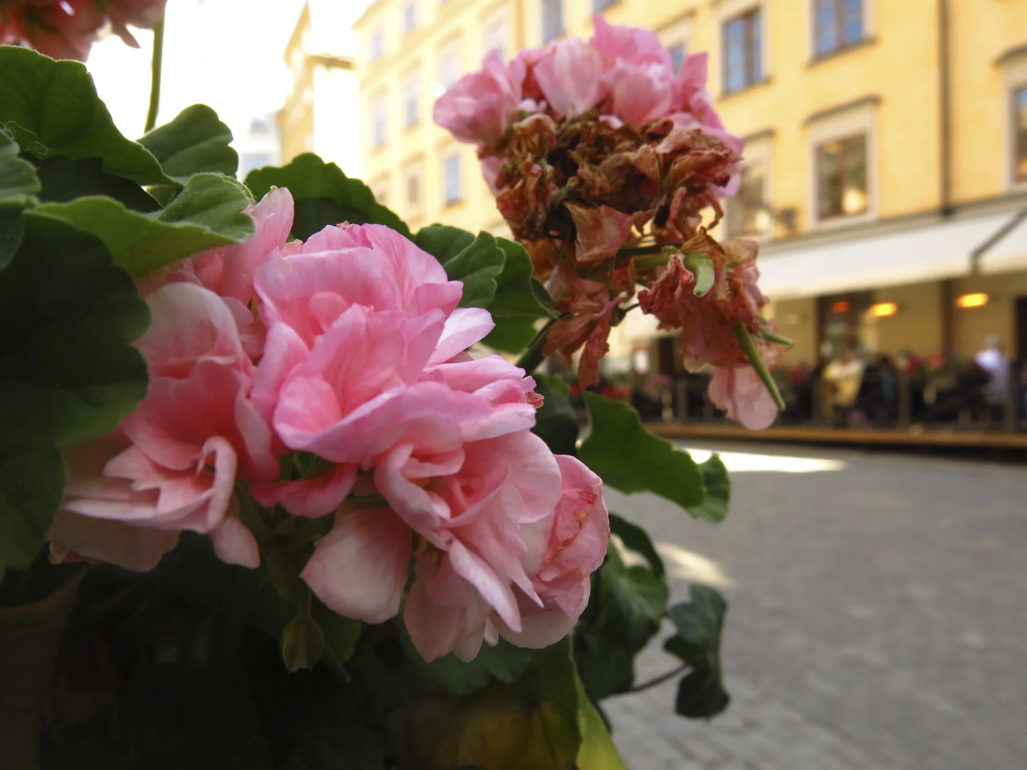 pretty, pretty Stockholm!