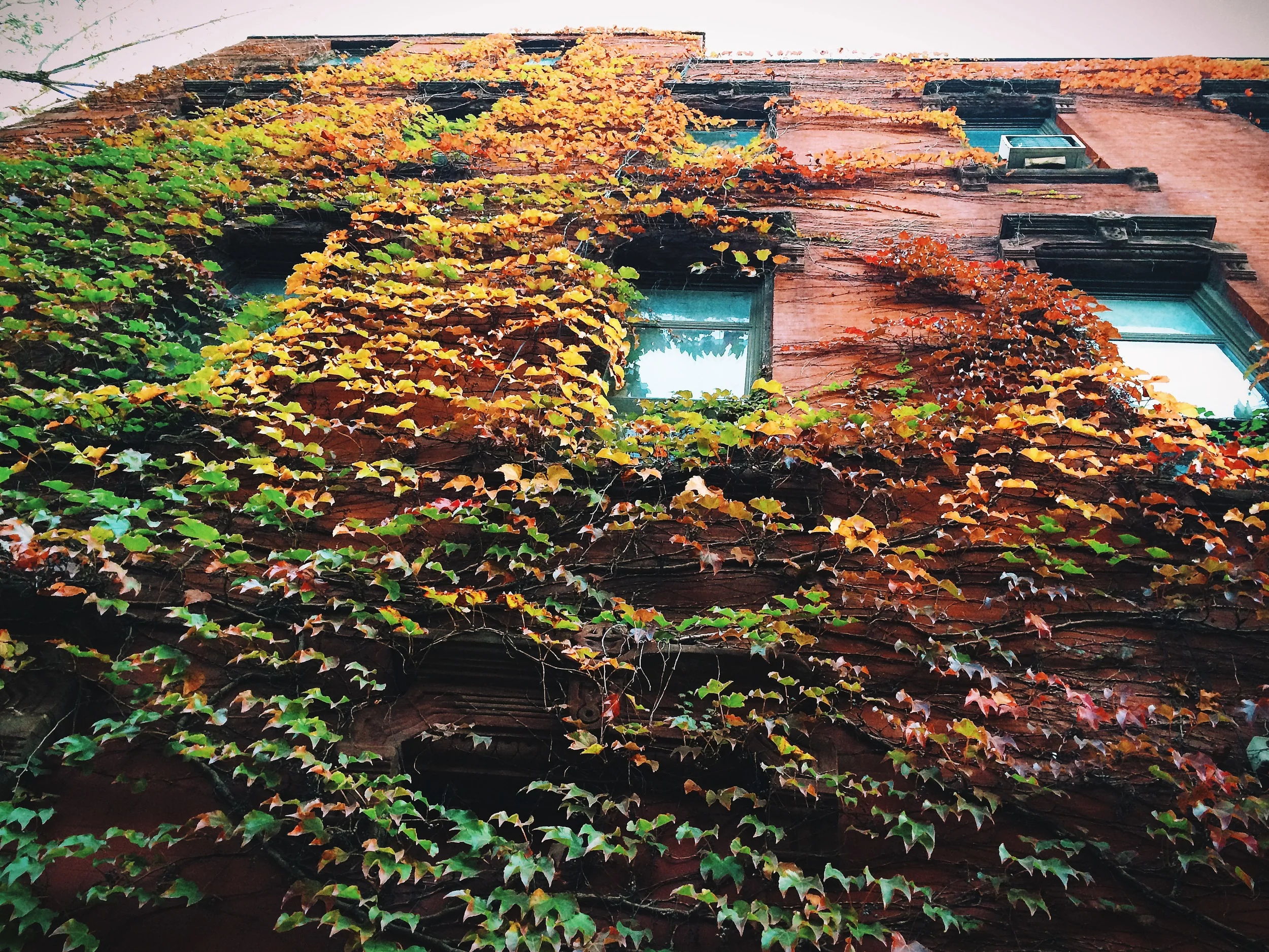 “I'm so glad I live in a world where there are Octobers.” ― L.M. Montgomery , Anne of Green Gables