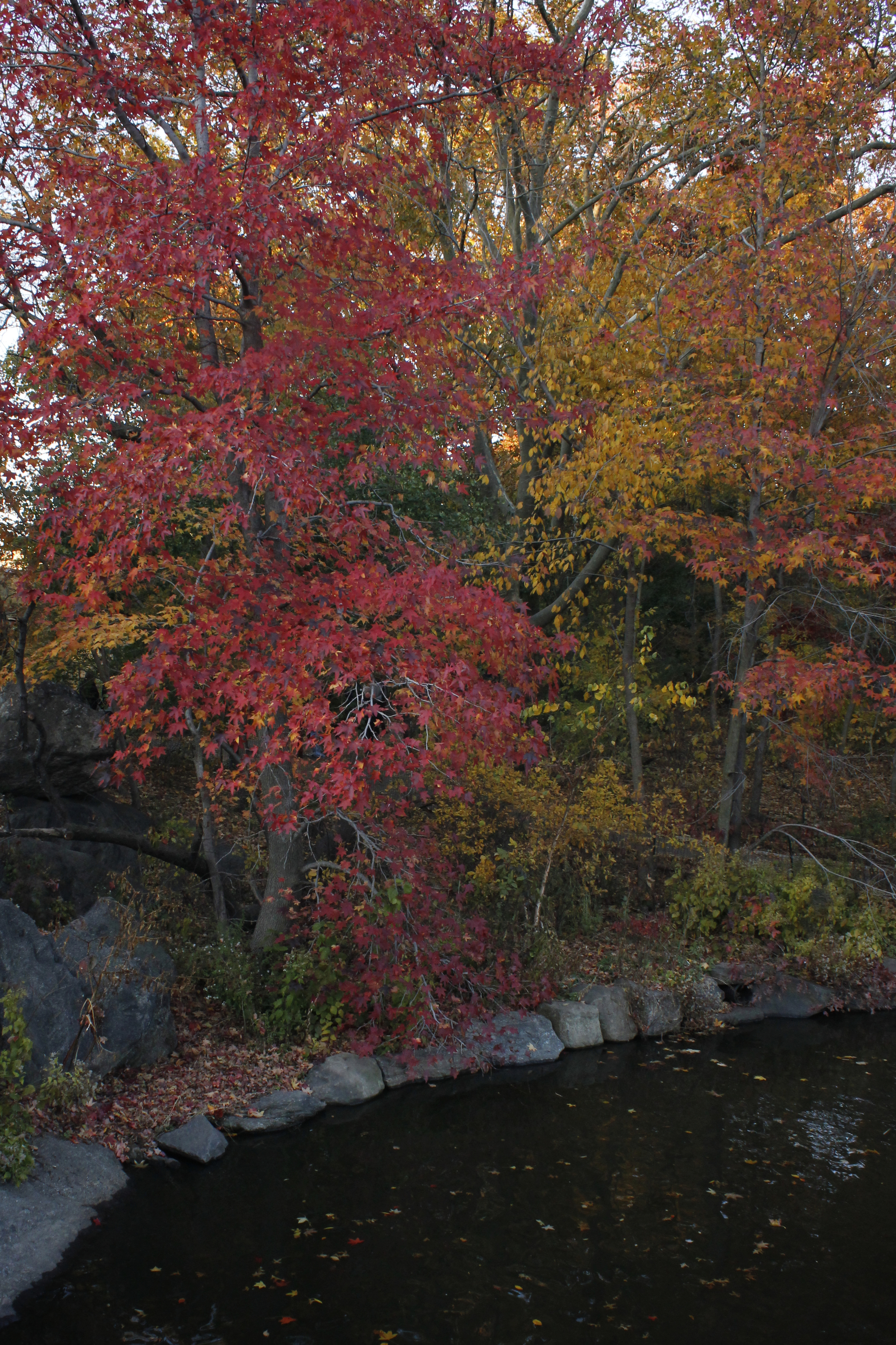 _MG_3015.jpg