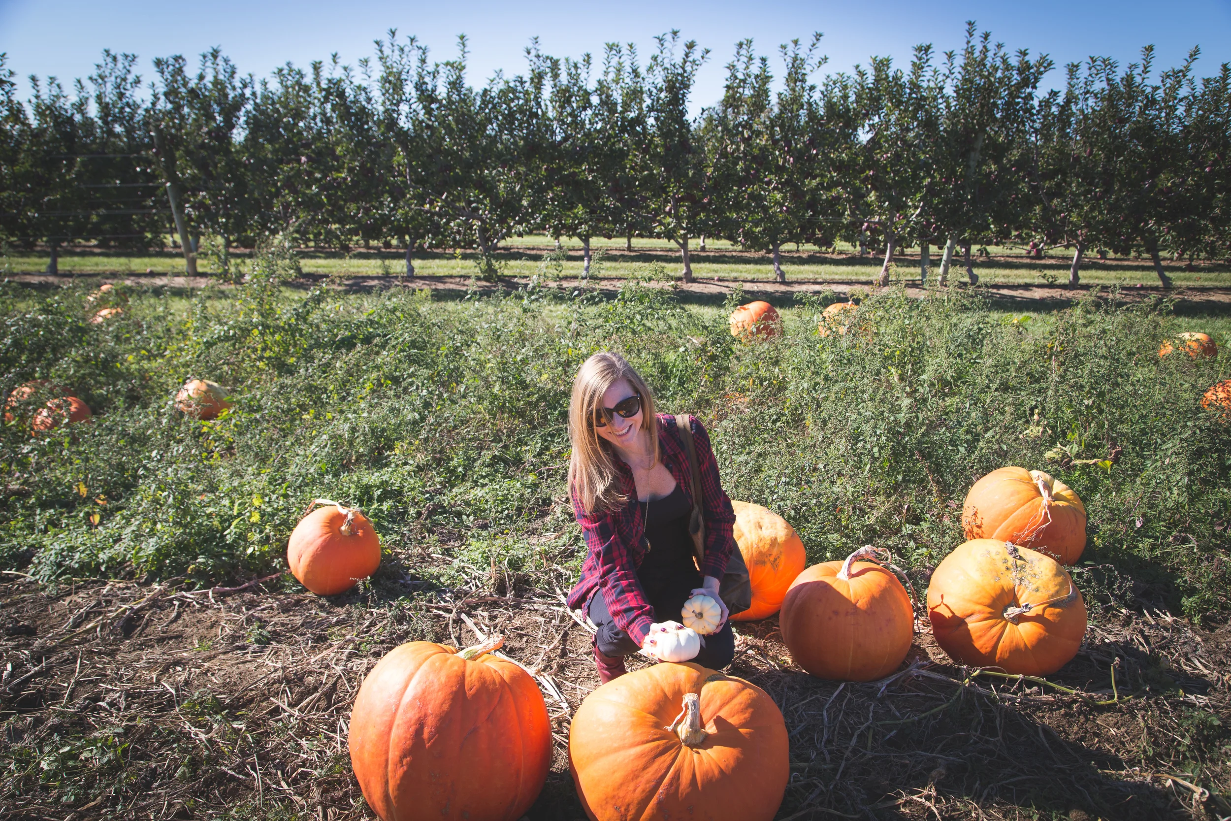 thankful for you and pumpkins of all sizes