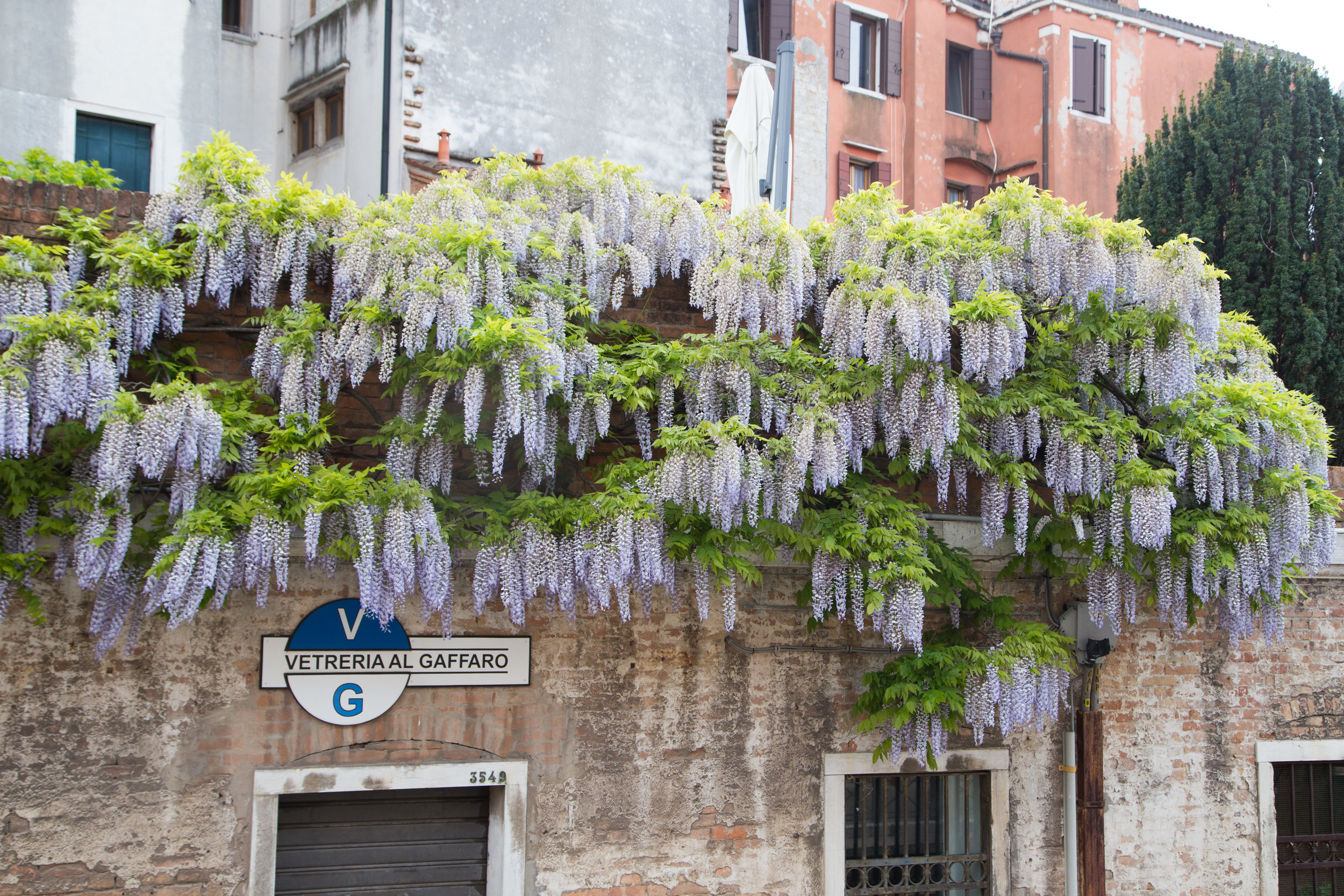 Venice-39.jpg